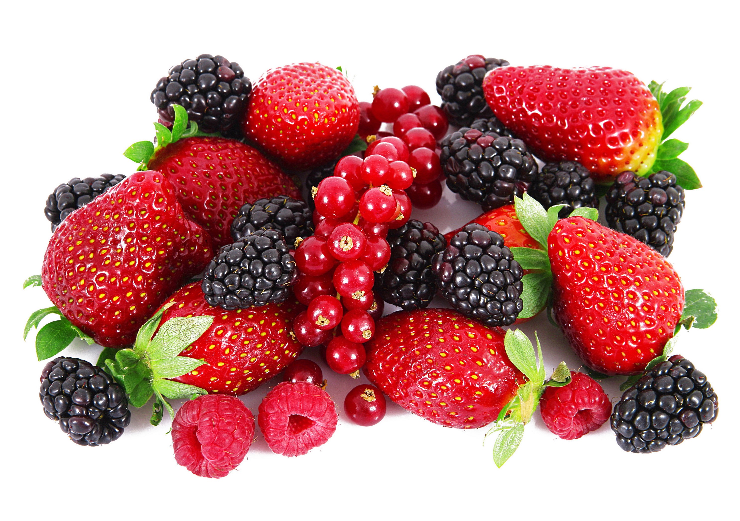 Assortment of fresh berries including strawberries, blackberries, raspberries, and red currants HD Wallpaper
