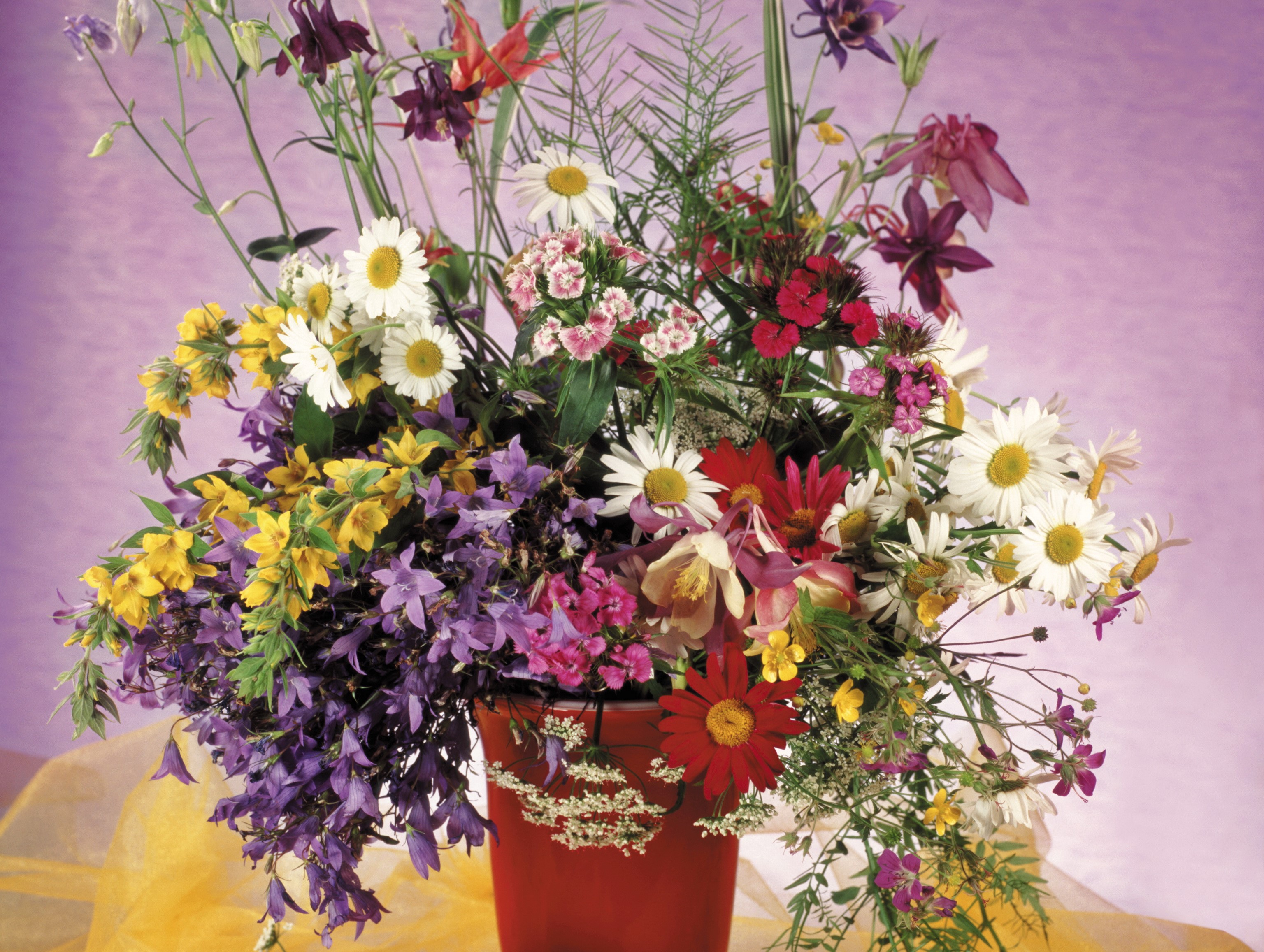 Bouquet of wildflowers in a red vase HD Wallpaper