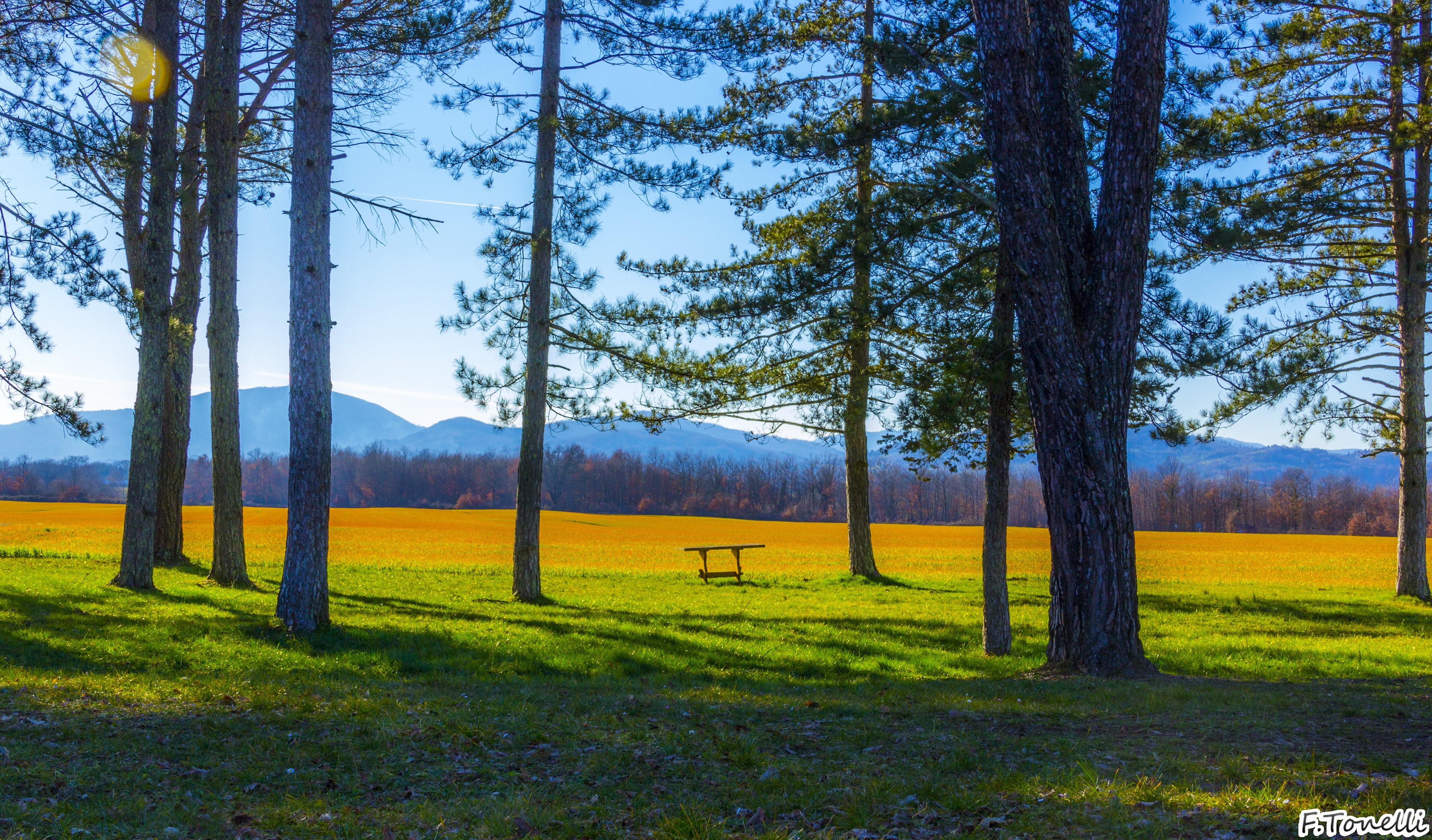 4K Scenery of Trees and Field in Tuscany, Italy HD Wallpaper