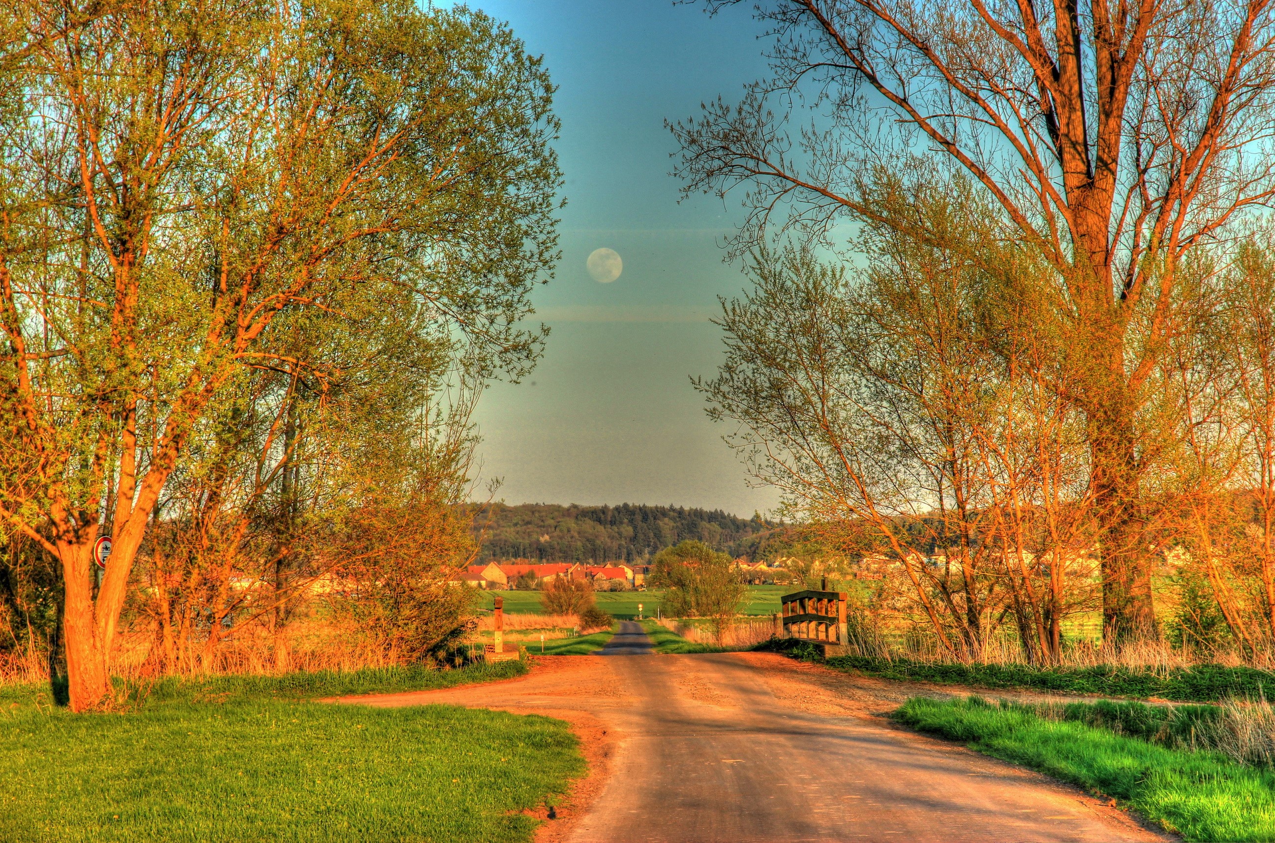 Road through trees with moon in Hungen, Germany HD Wallpaper