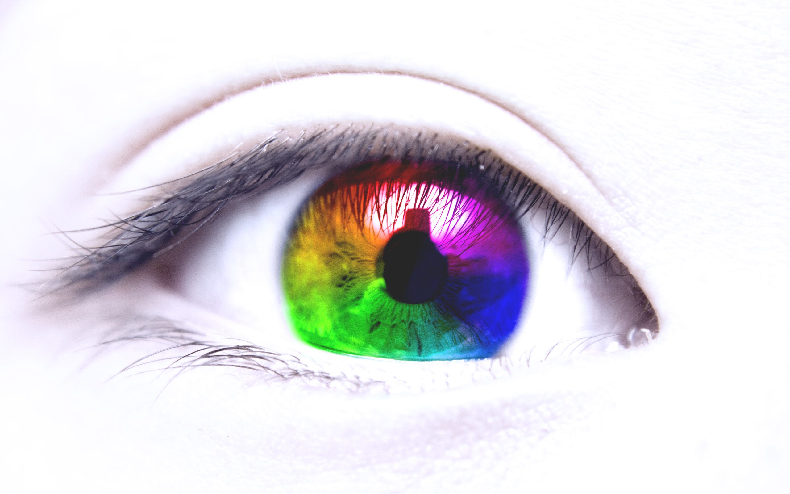 Close-up of a rainbow-colored eye HD Wallpaper