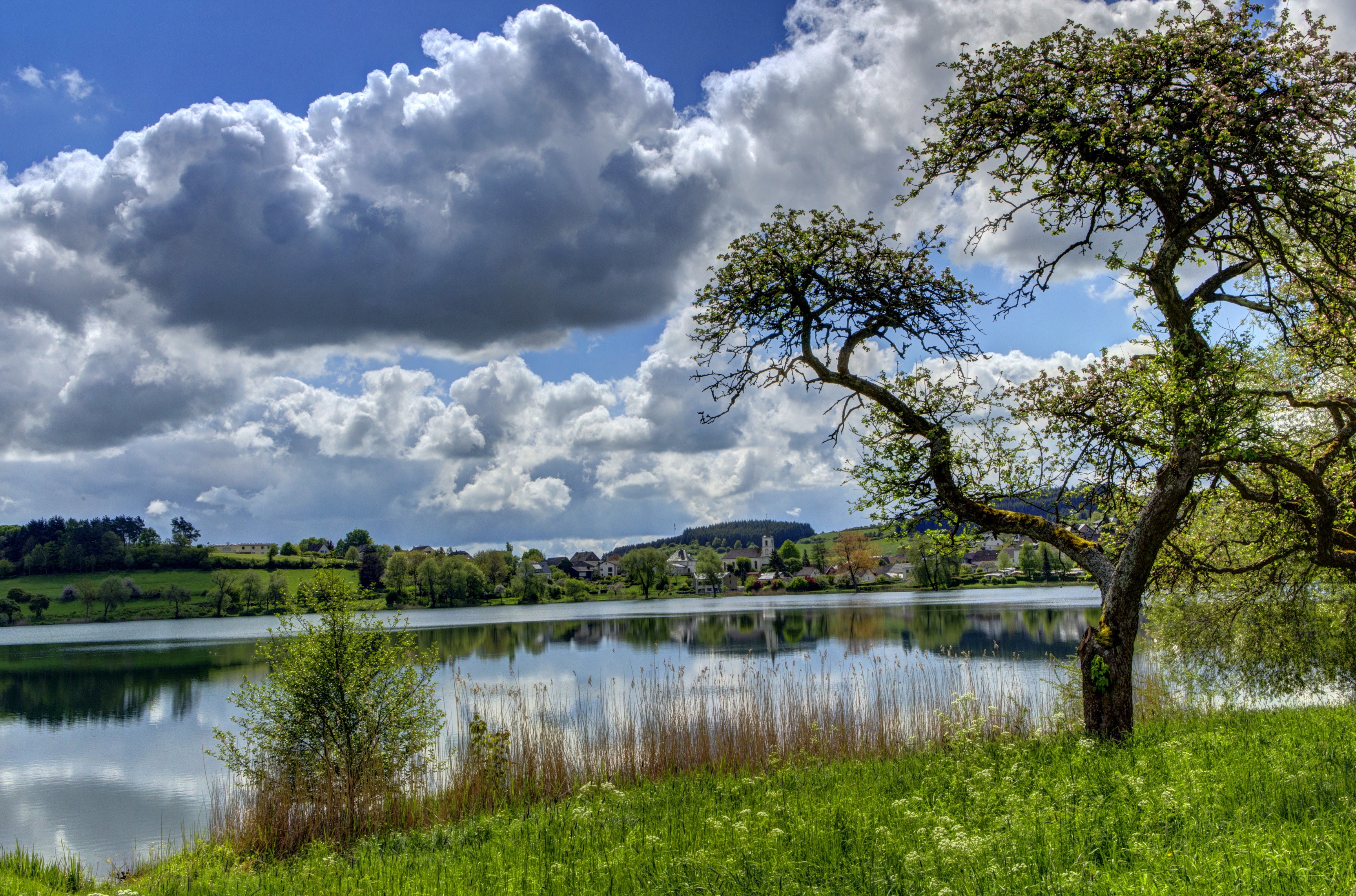 Lake and village scenery in Ellscheid, Germany HD Wallpaper