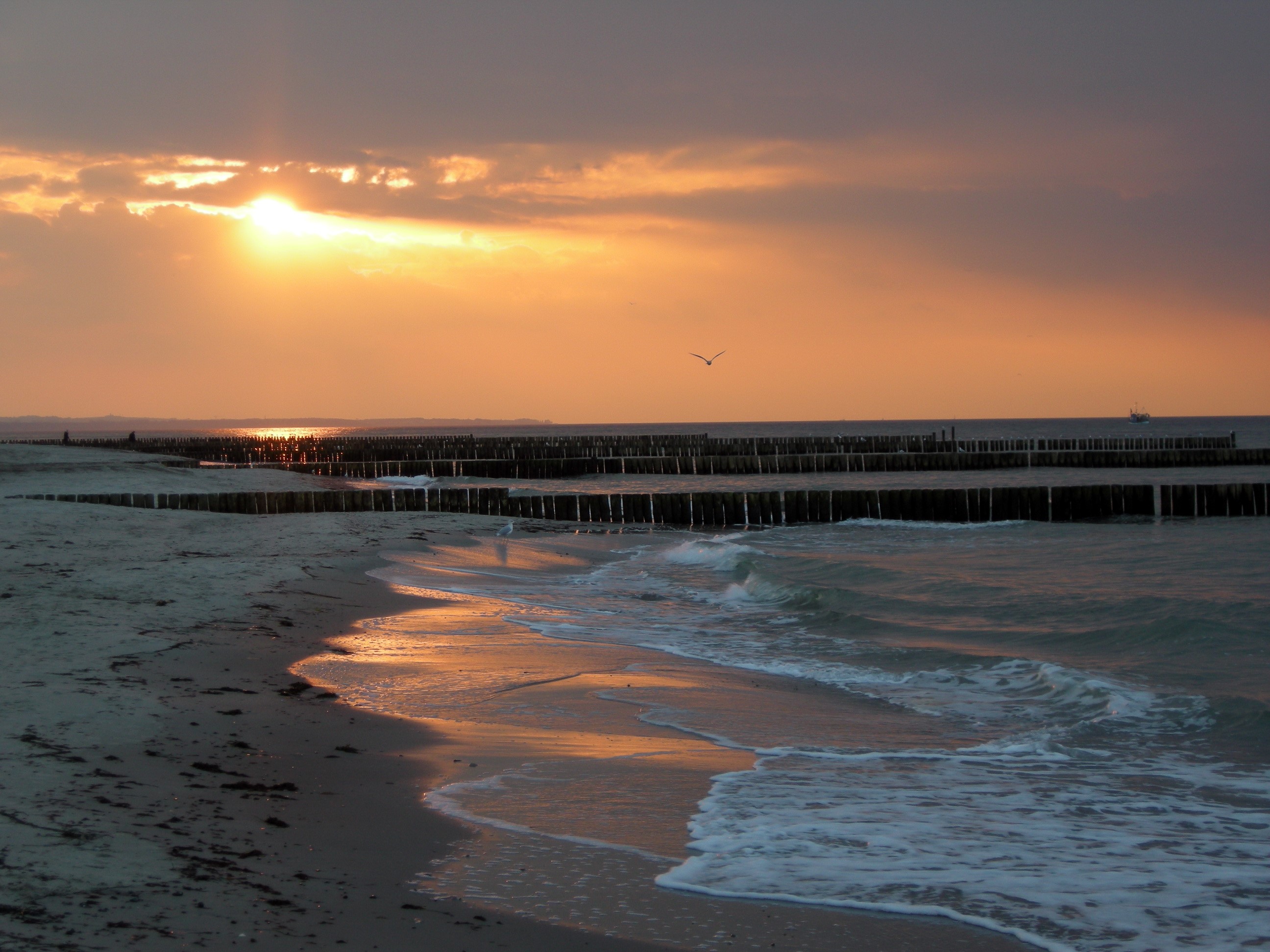 Sunset over the Baltic Sea coast in Germany HD Wallpaper