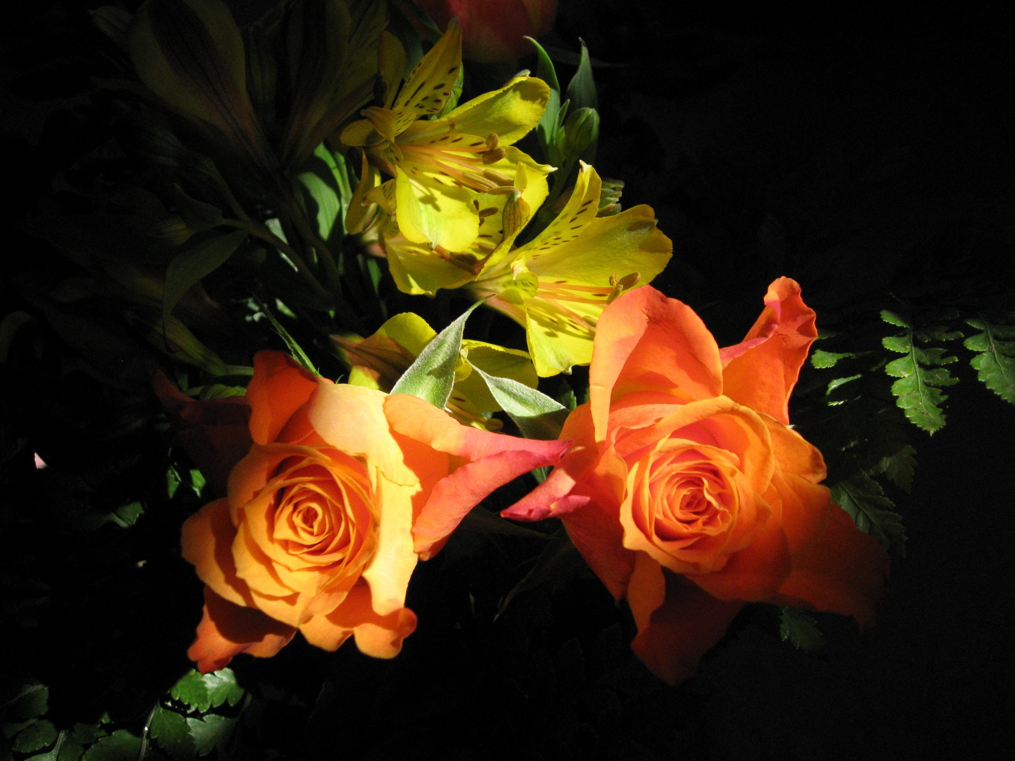 Orange roses and yellow lilies with fern HD Wallpaper