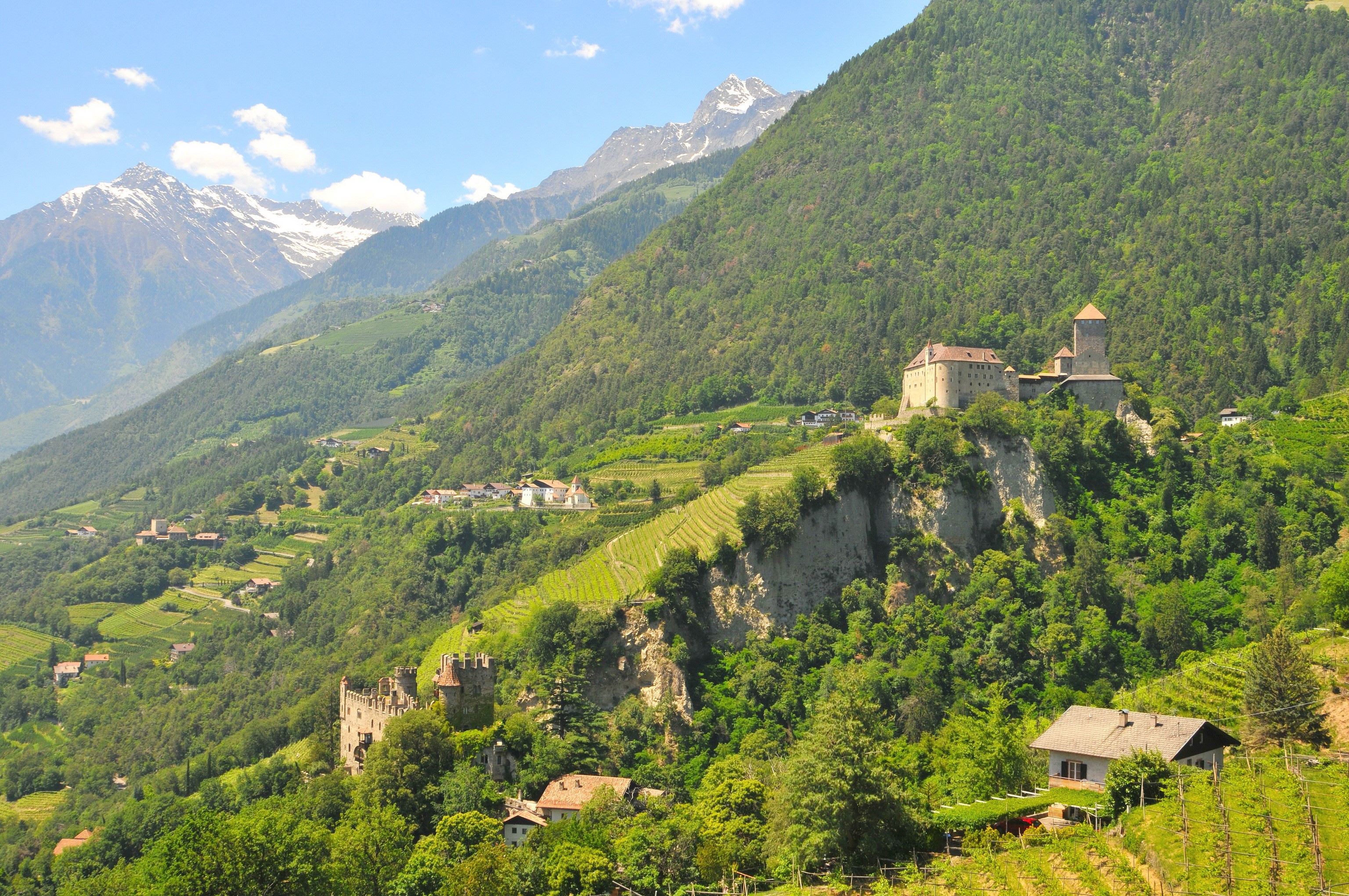 Castles and vineyards in the Italian Alps HD Wallpaper