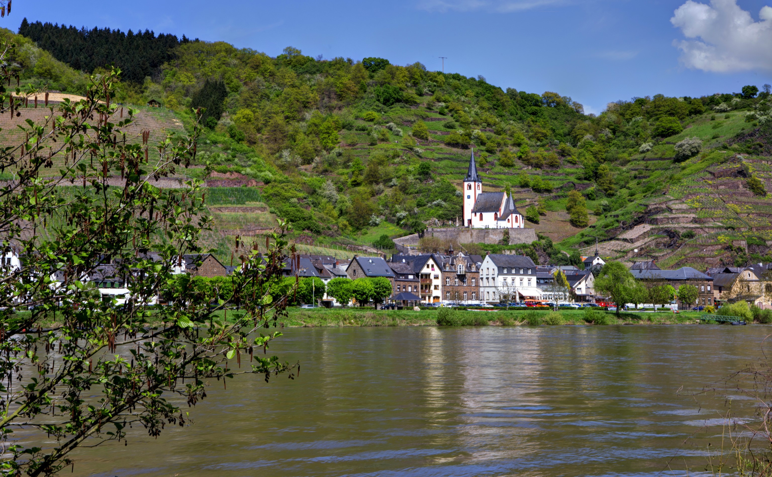 Brodenbach village on the Moselle River, Germany HD Wallpaper