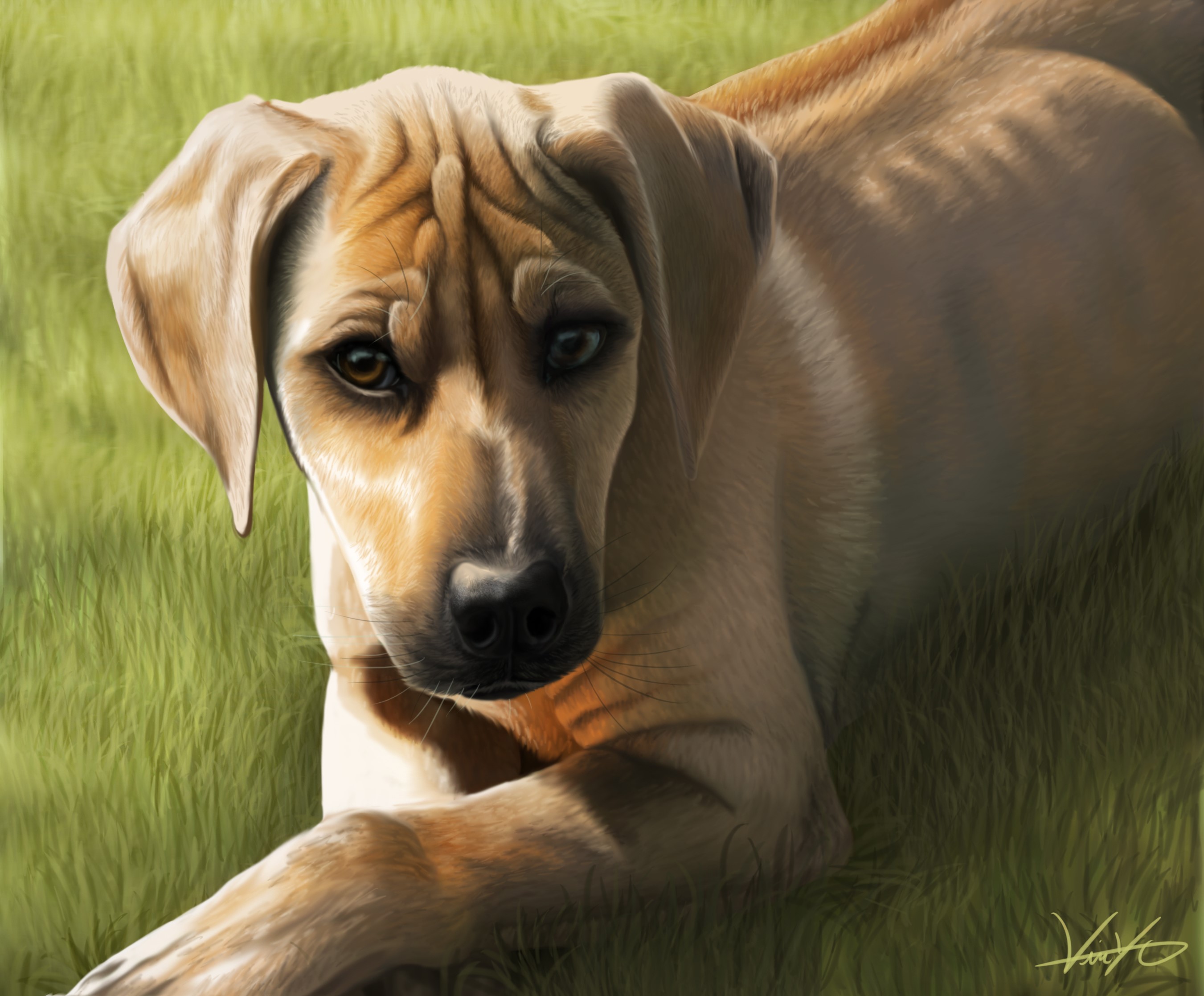Painting of a dog lying on grass HD Wallpaper