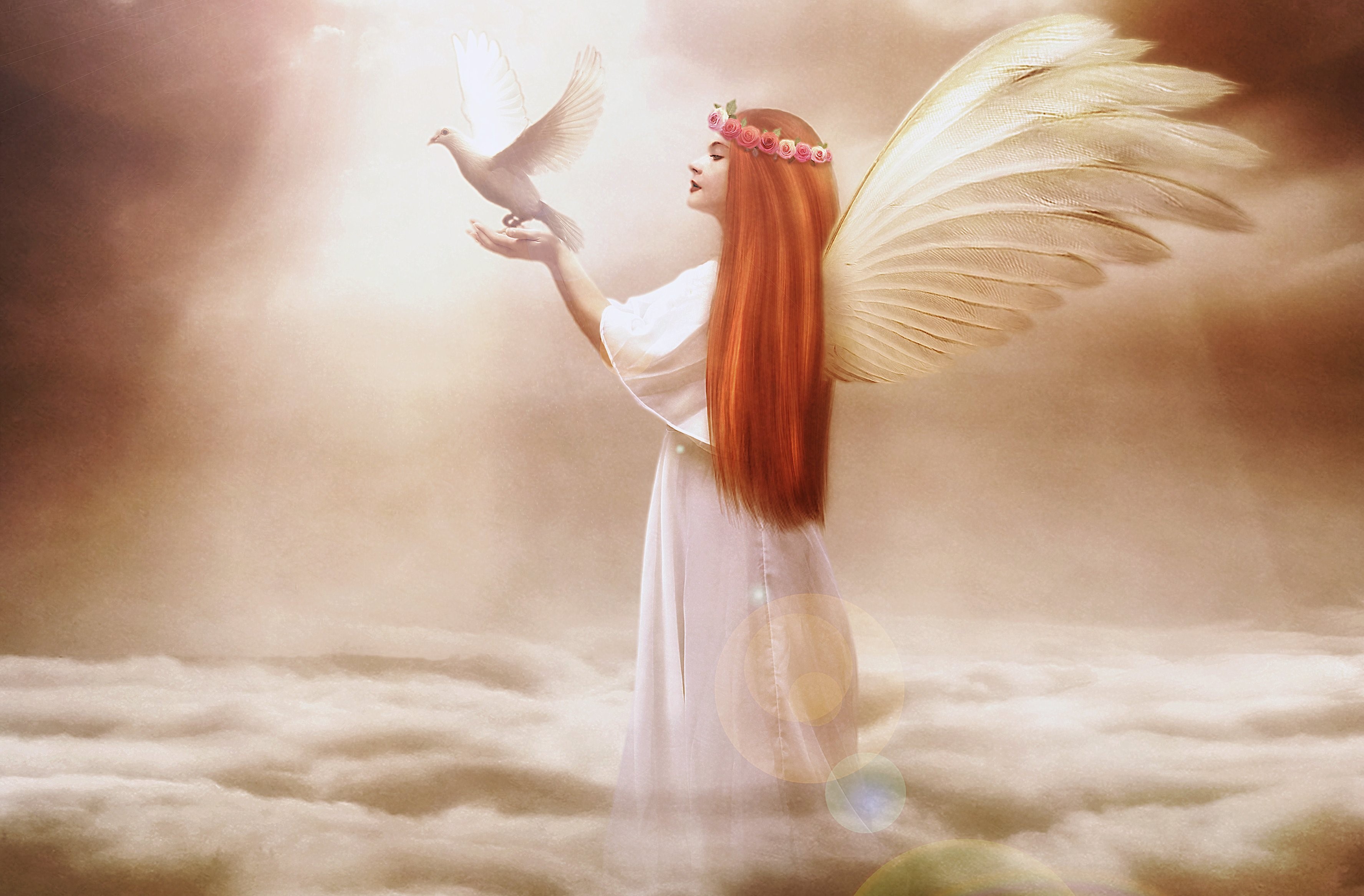 Angel with a dove on clouds HD Wallpaper