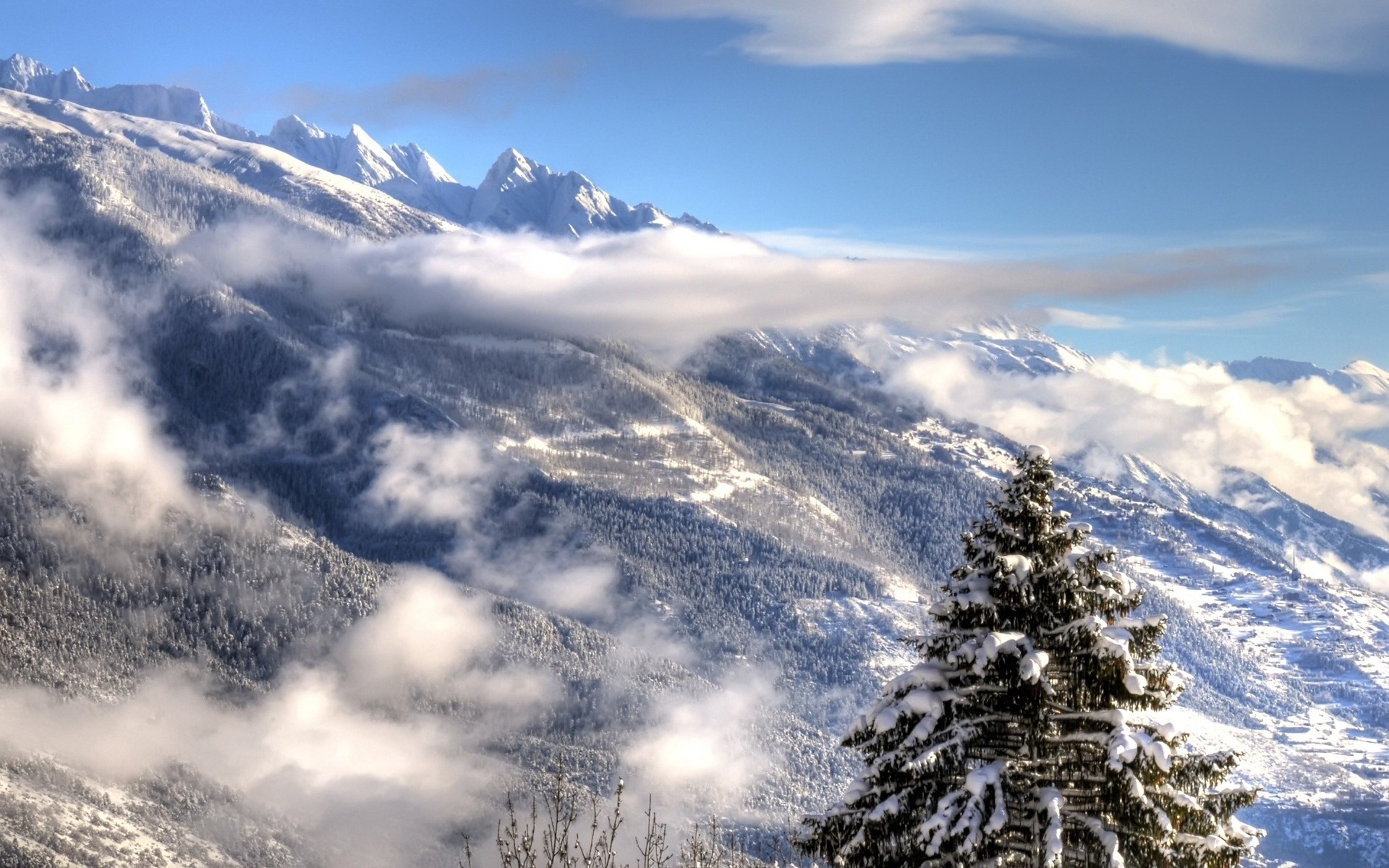 Snow-covered mountains with clouds and pine tree HD Wallpaper