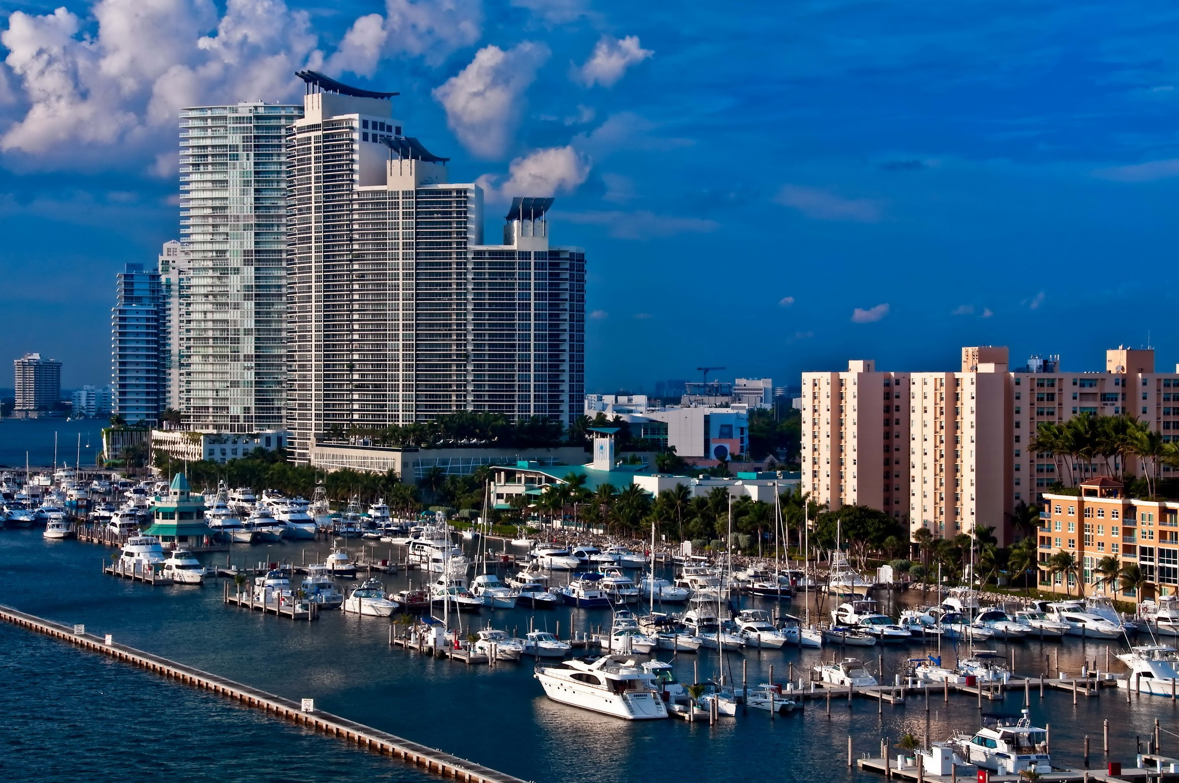 Miami Marina with High-Rise Buildings and Yachts HD Wallpaper