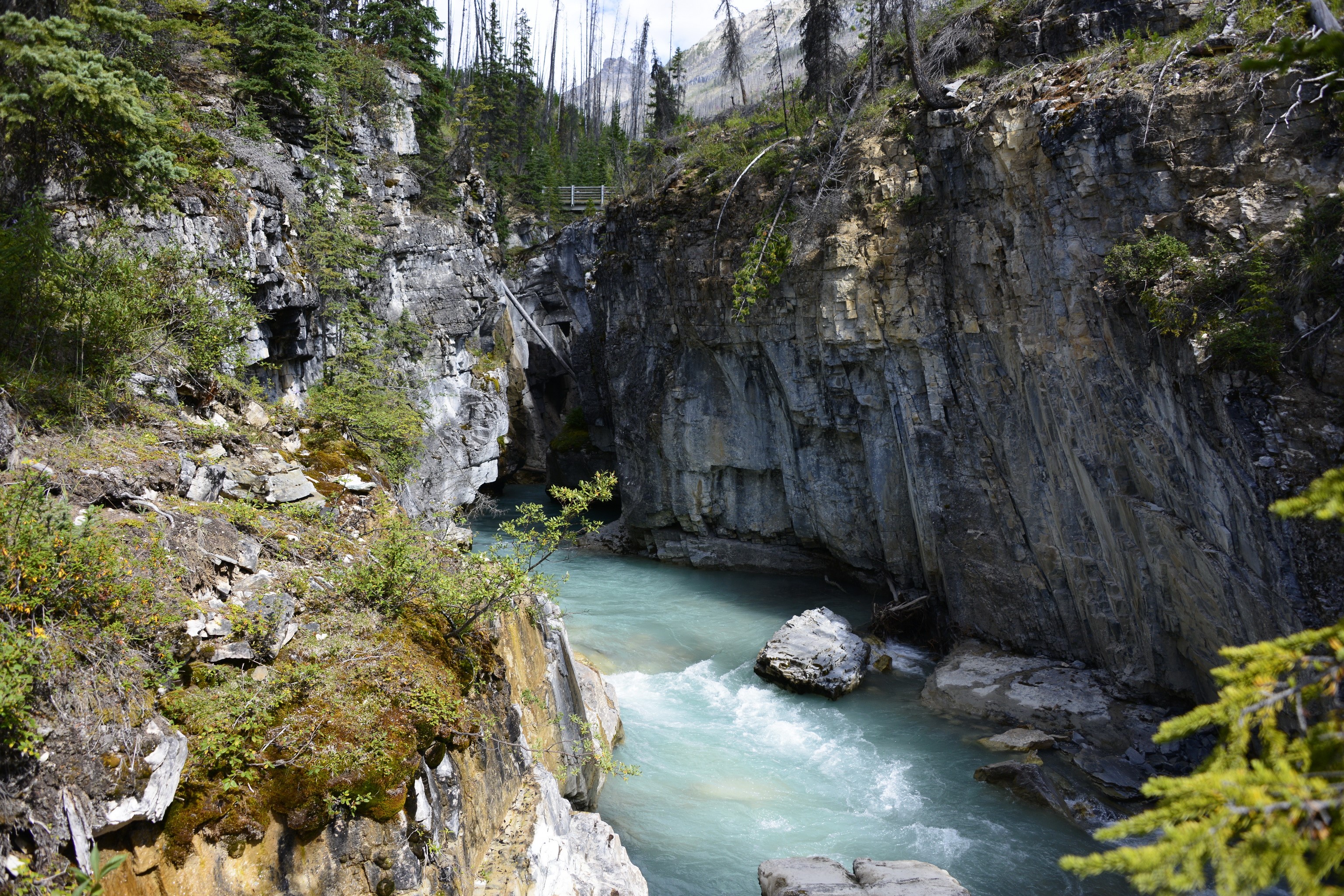 Turquoise river flowing through a rocky canyon in Kootenay National Park, Canada HD Wallpaper