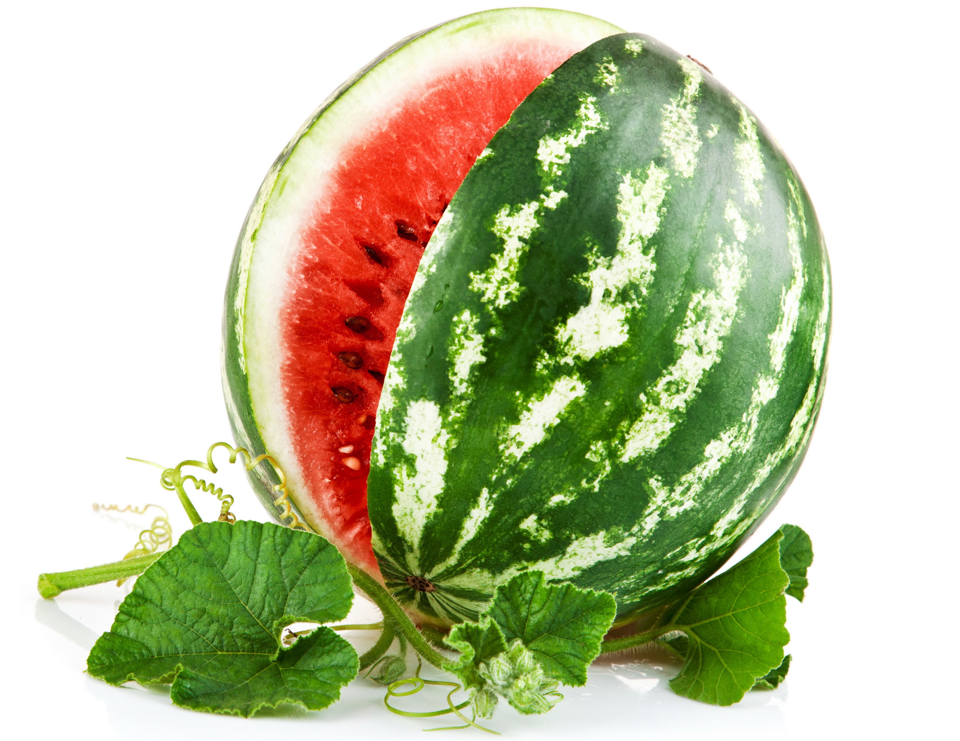 Watermelon slice with leaves and tendrils HD Wallpaper