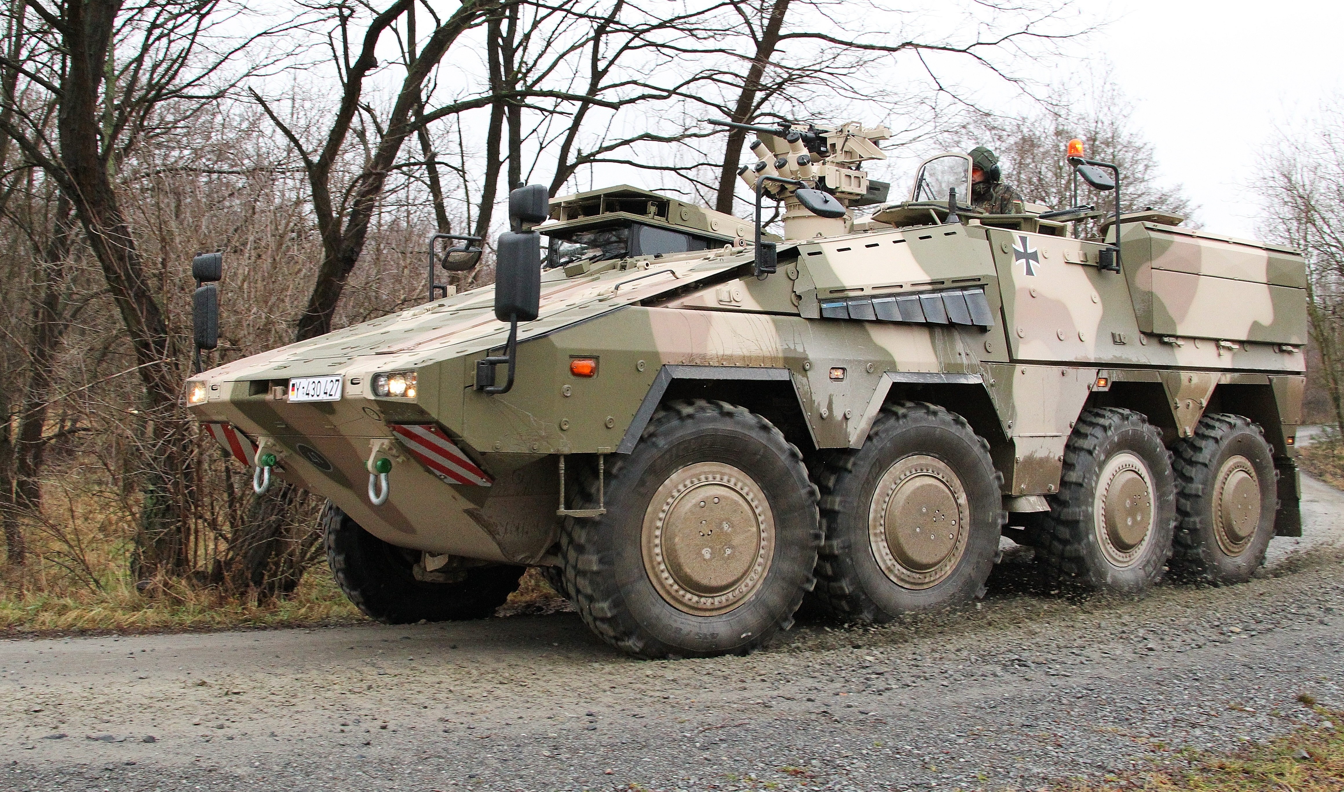 4K GTK Boxer APC in forest HD Wallpaper