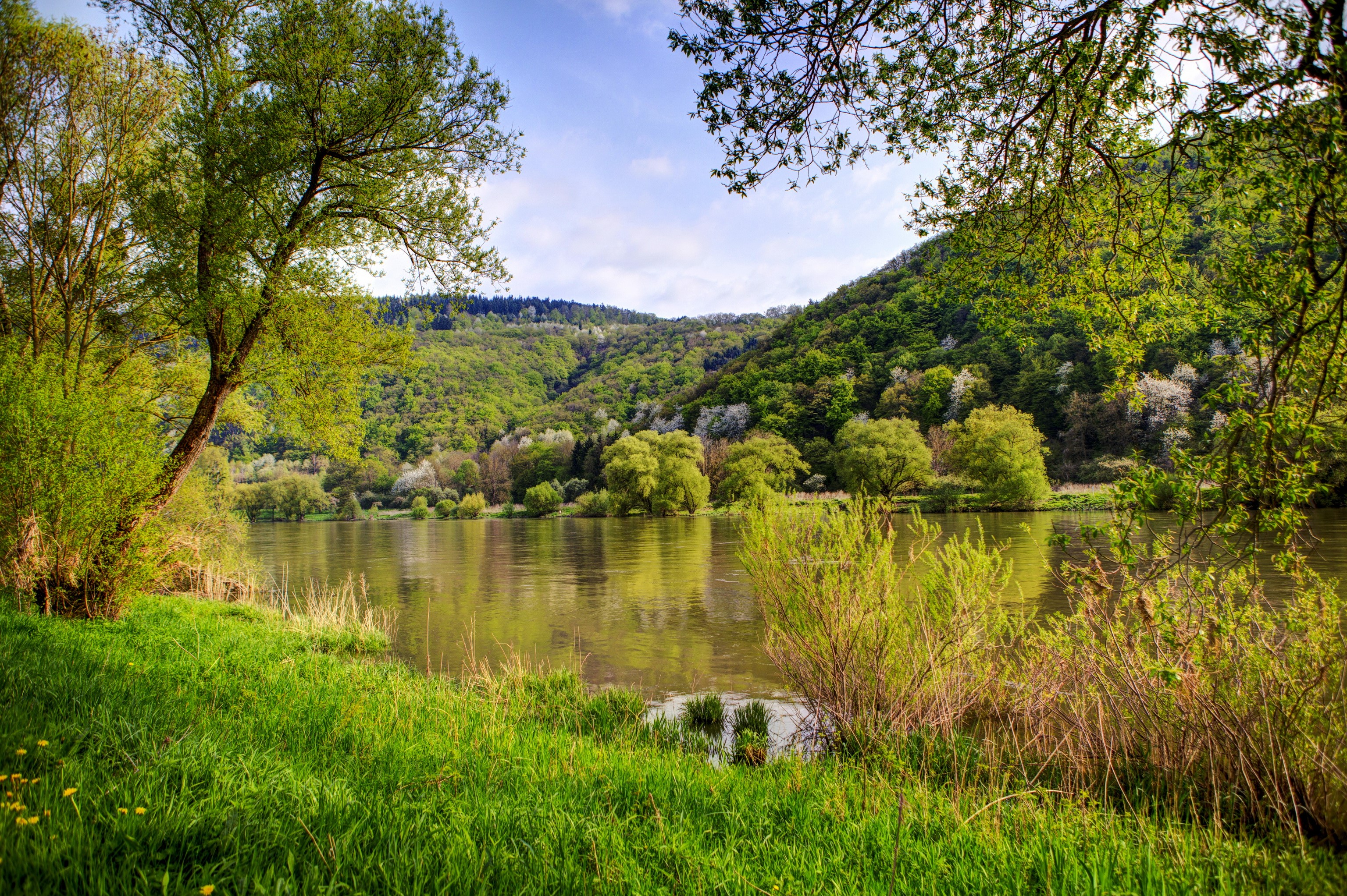 River flowing through a green forested valley in Nehren, Germany HD Wallpaper
