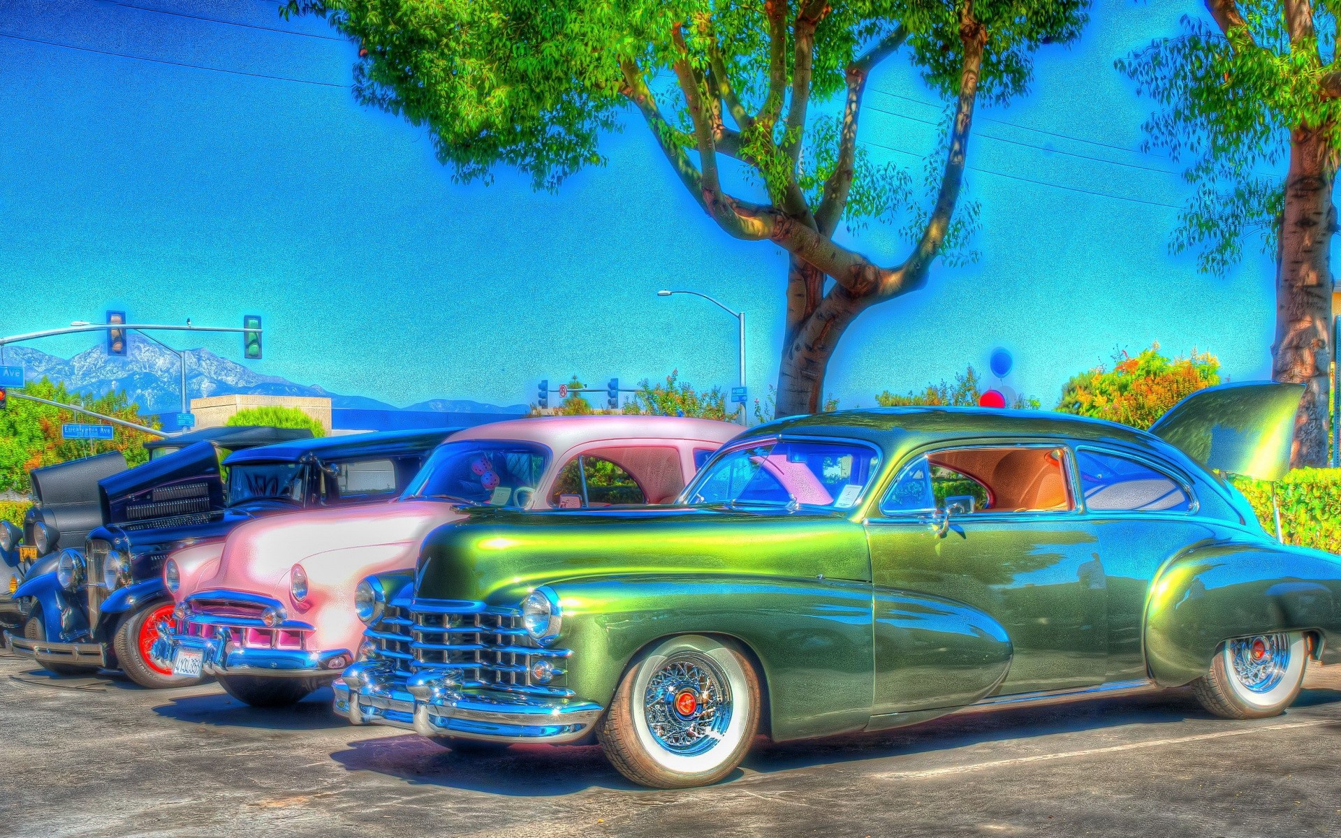 Vintage Cars Lined Up Under a Tree HD Wallpaper
