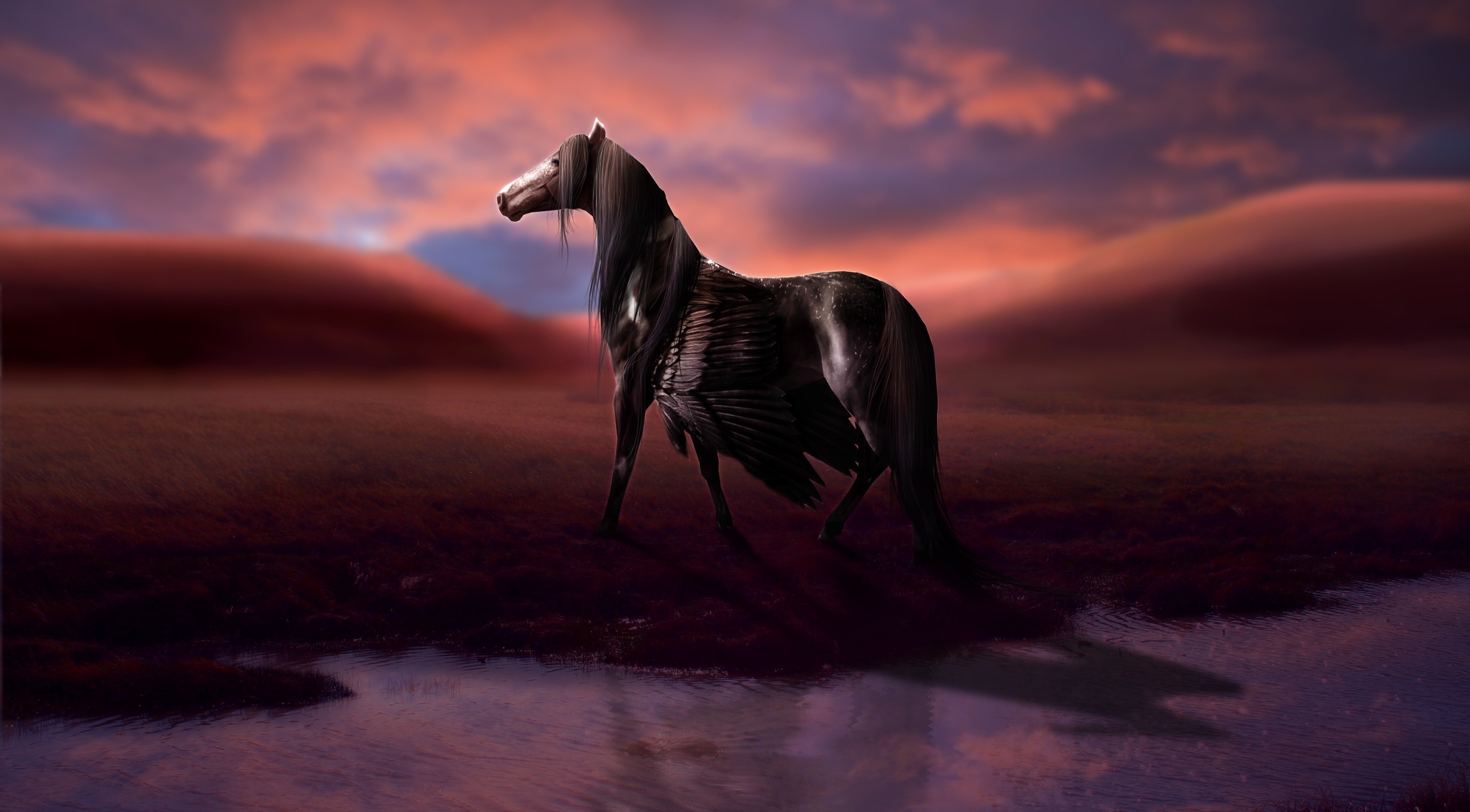 Black Pegasus with wings in a desert landscape HD Wallpaper