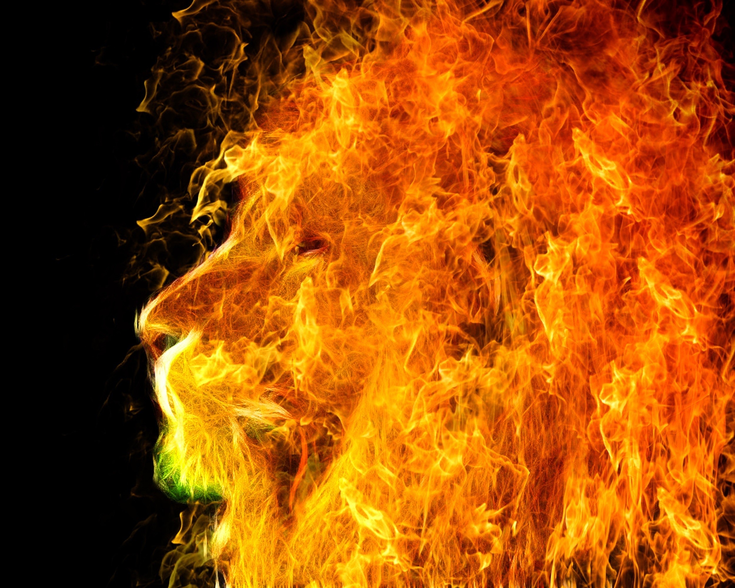 Lion made of fire HD Wallpaper