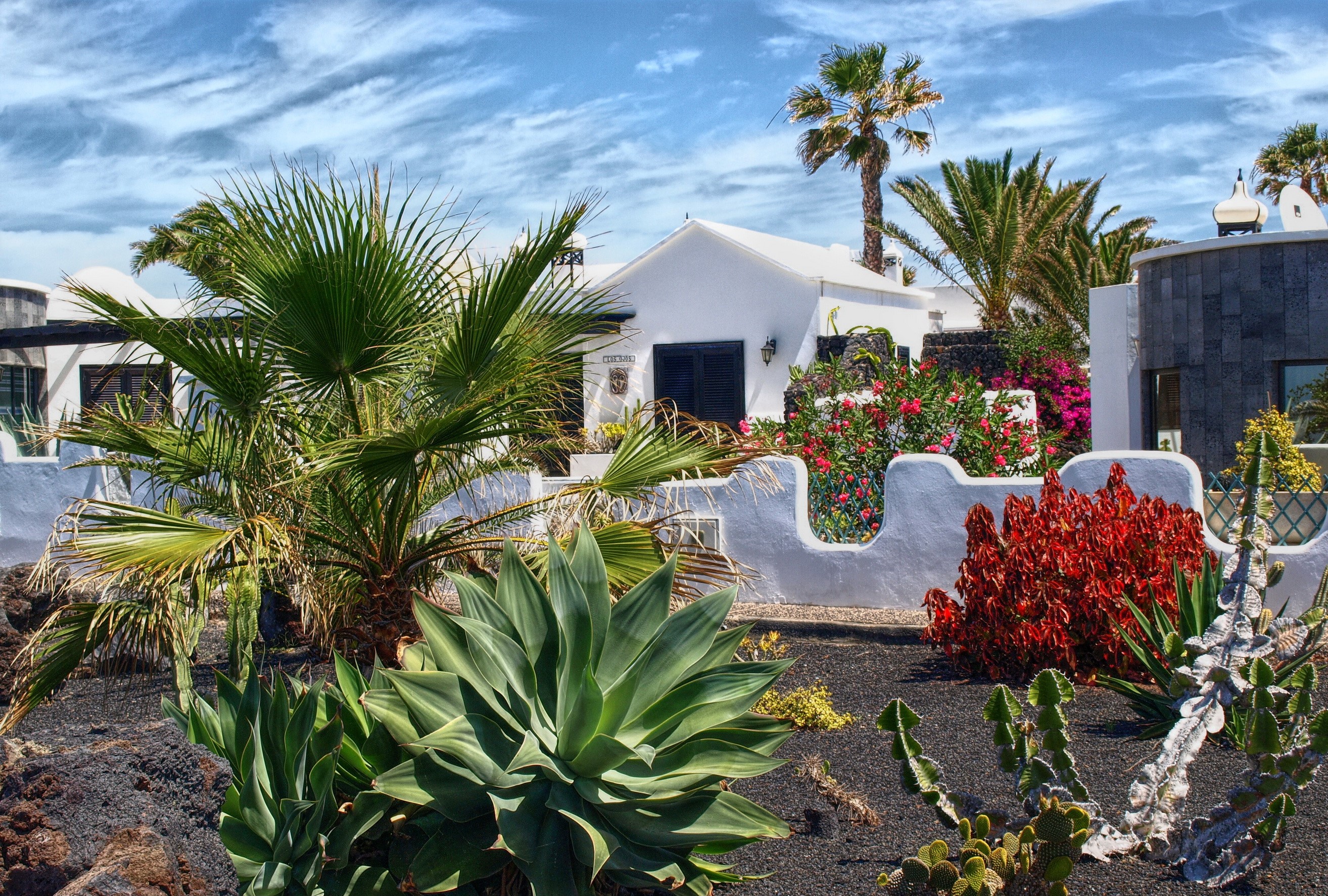White house with palm trees and succulents in Charco del Palo, Canary Islands HD Wallpaper