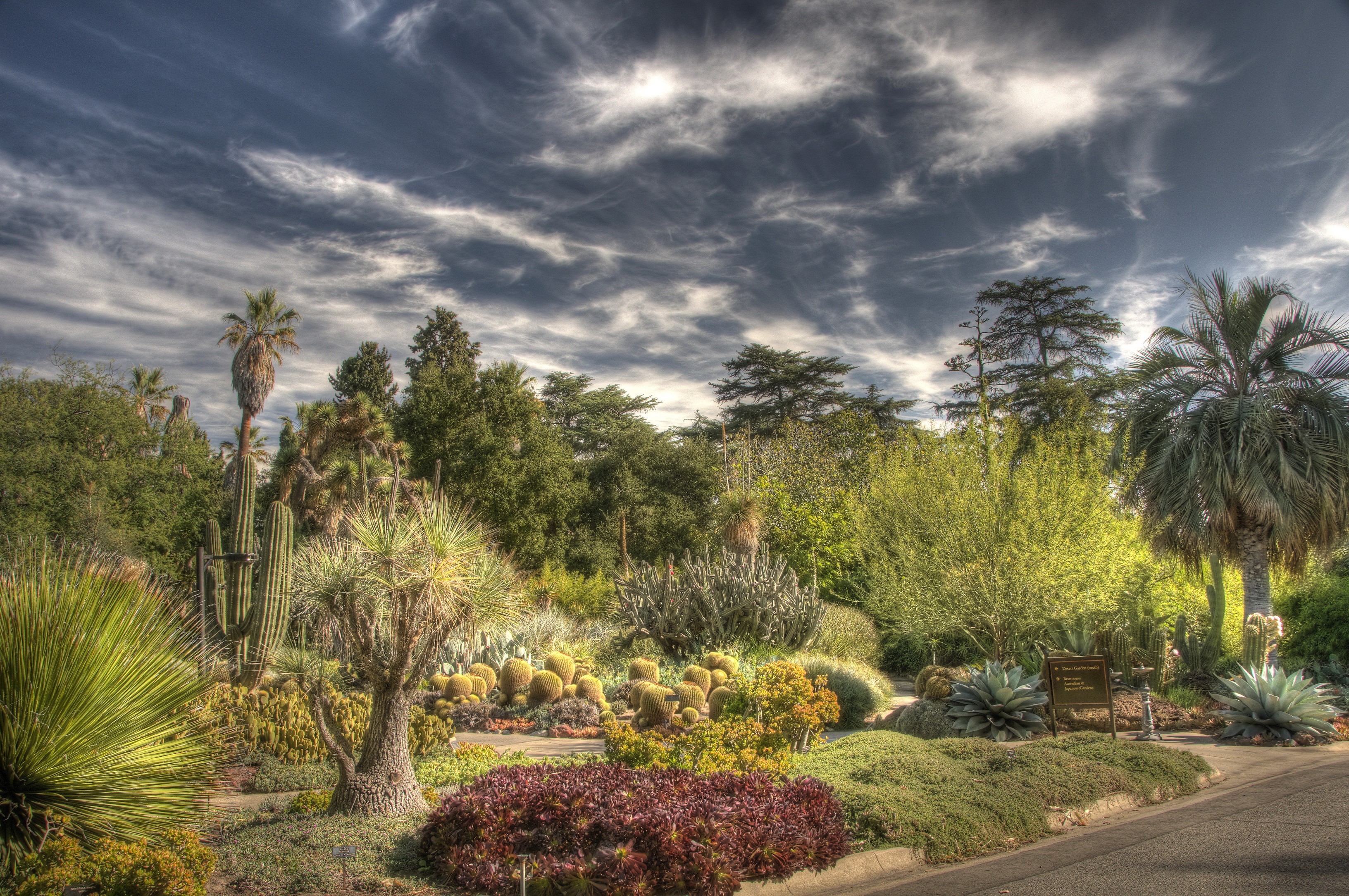 Botanical Gardens in San Marino, California HD Wallpaper