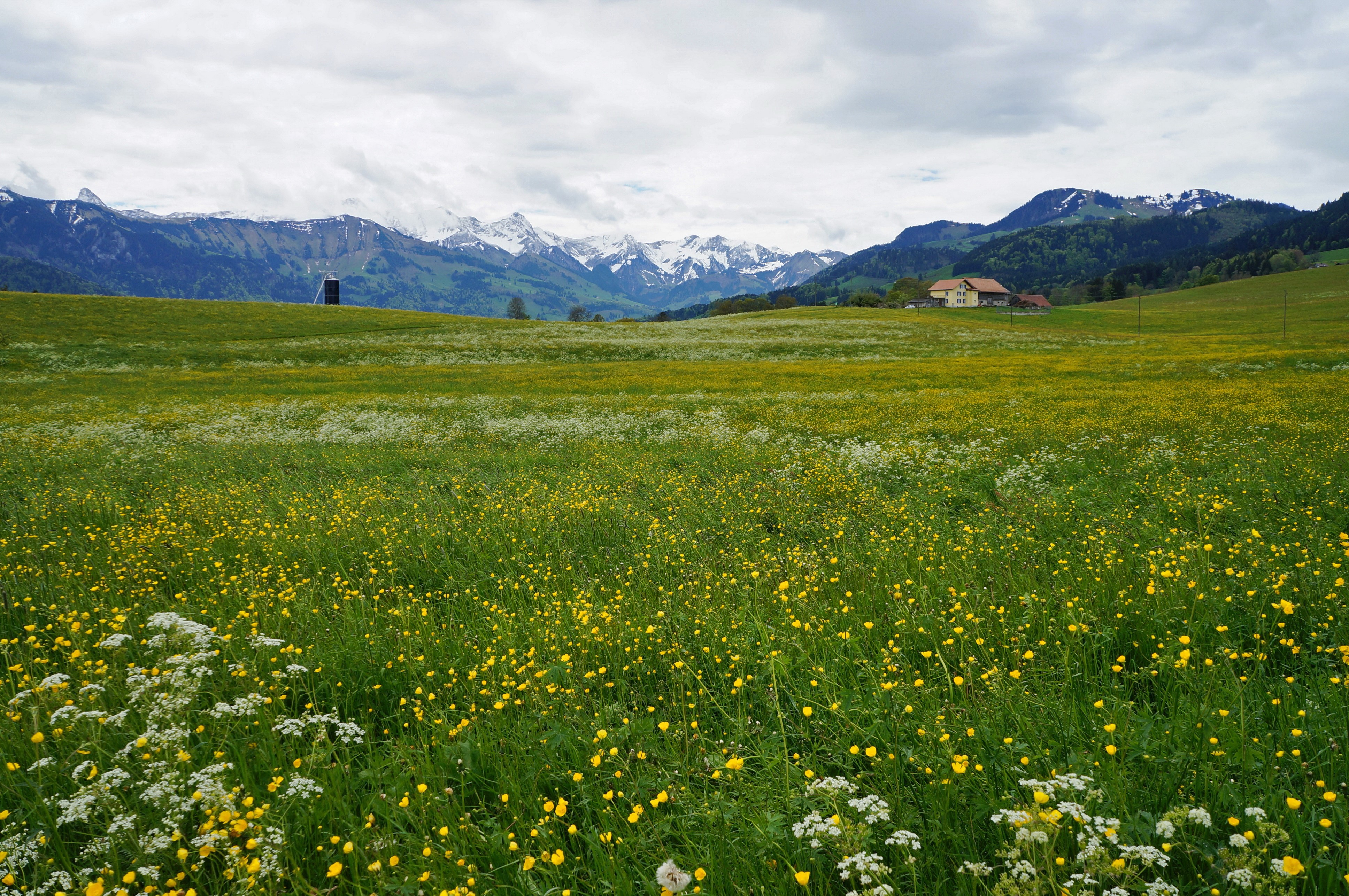 4K Gruyere Switzerland Grasslands Scenery HD Wallpaper