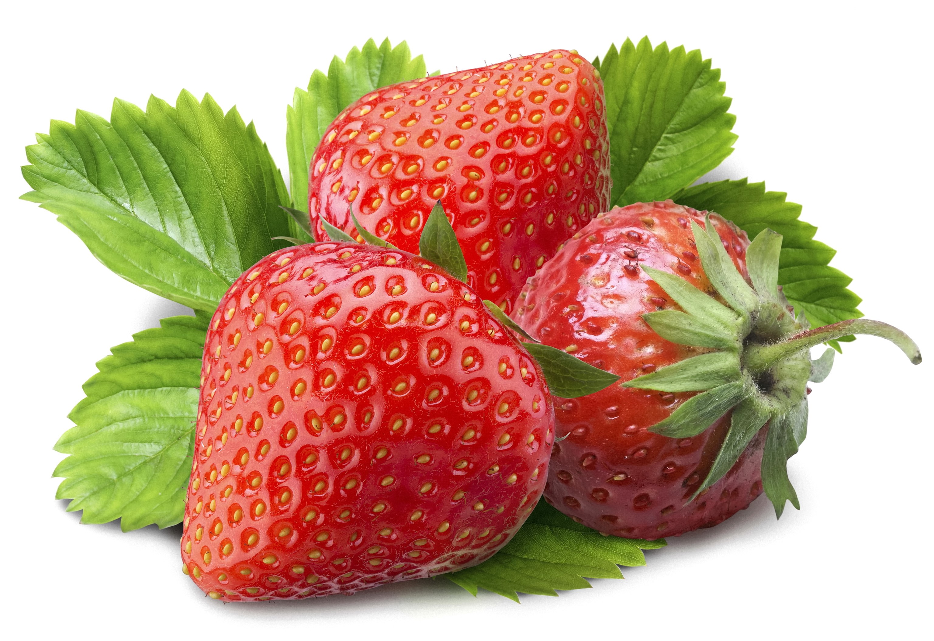 Three ripe strawberries with green leaves HD Wallpaper