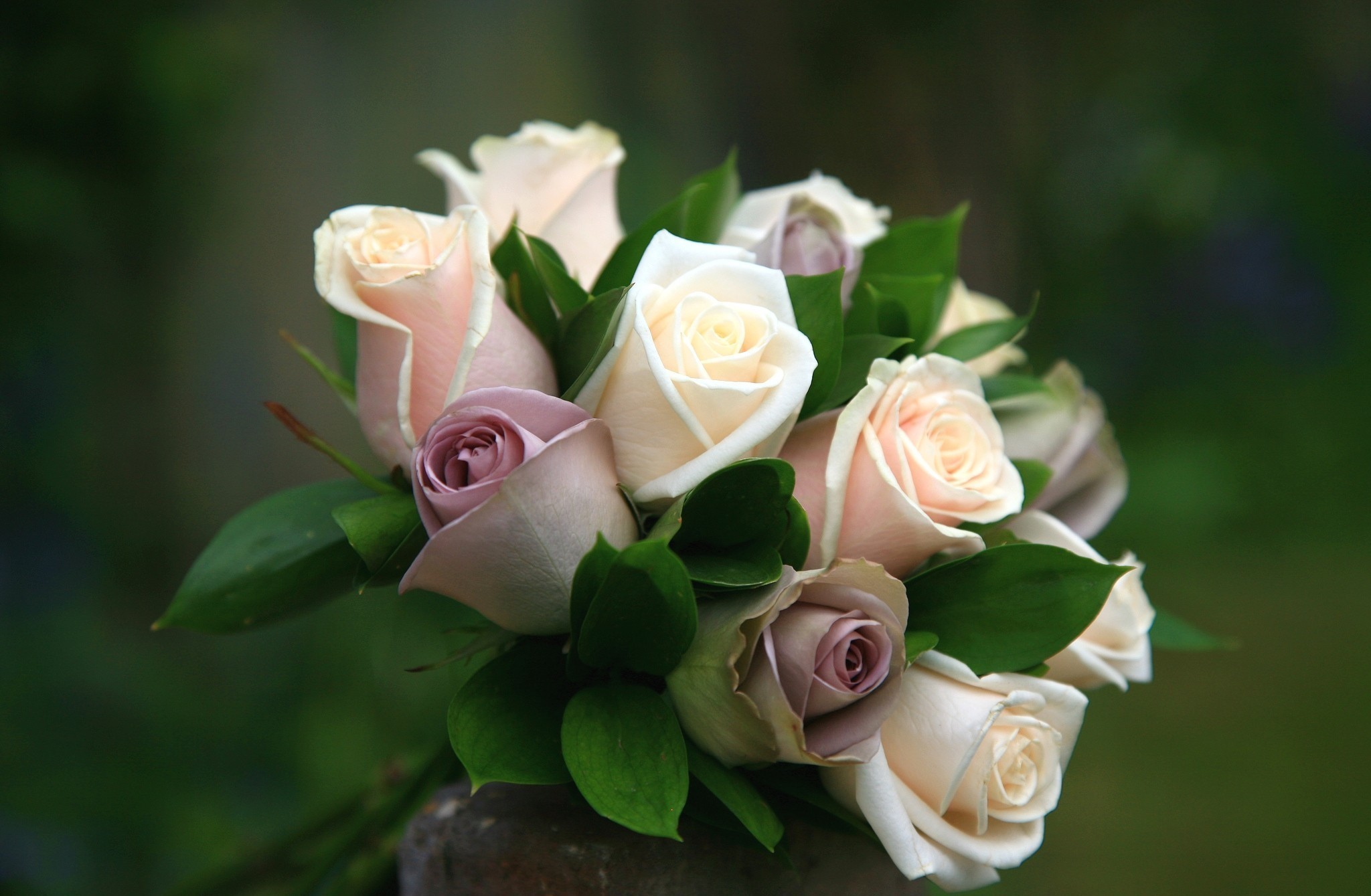Bouquet of Roses HD Wallpaper