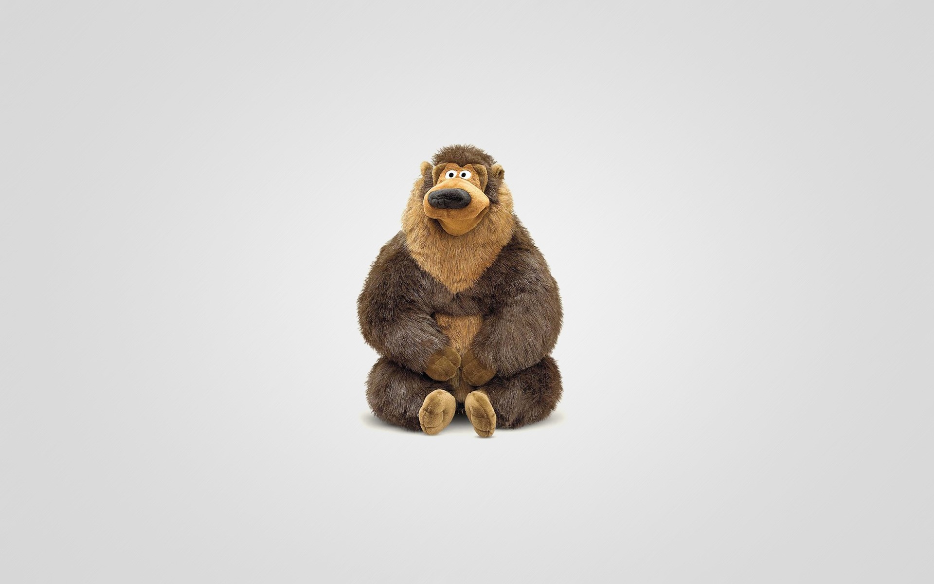 Plush toy bear sitting on a white background HD Wallpaper