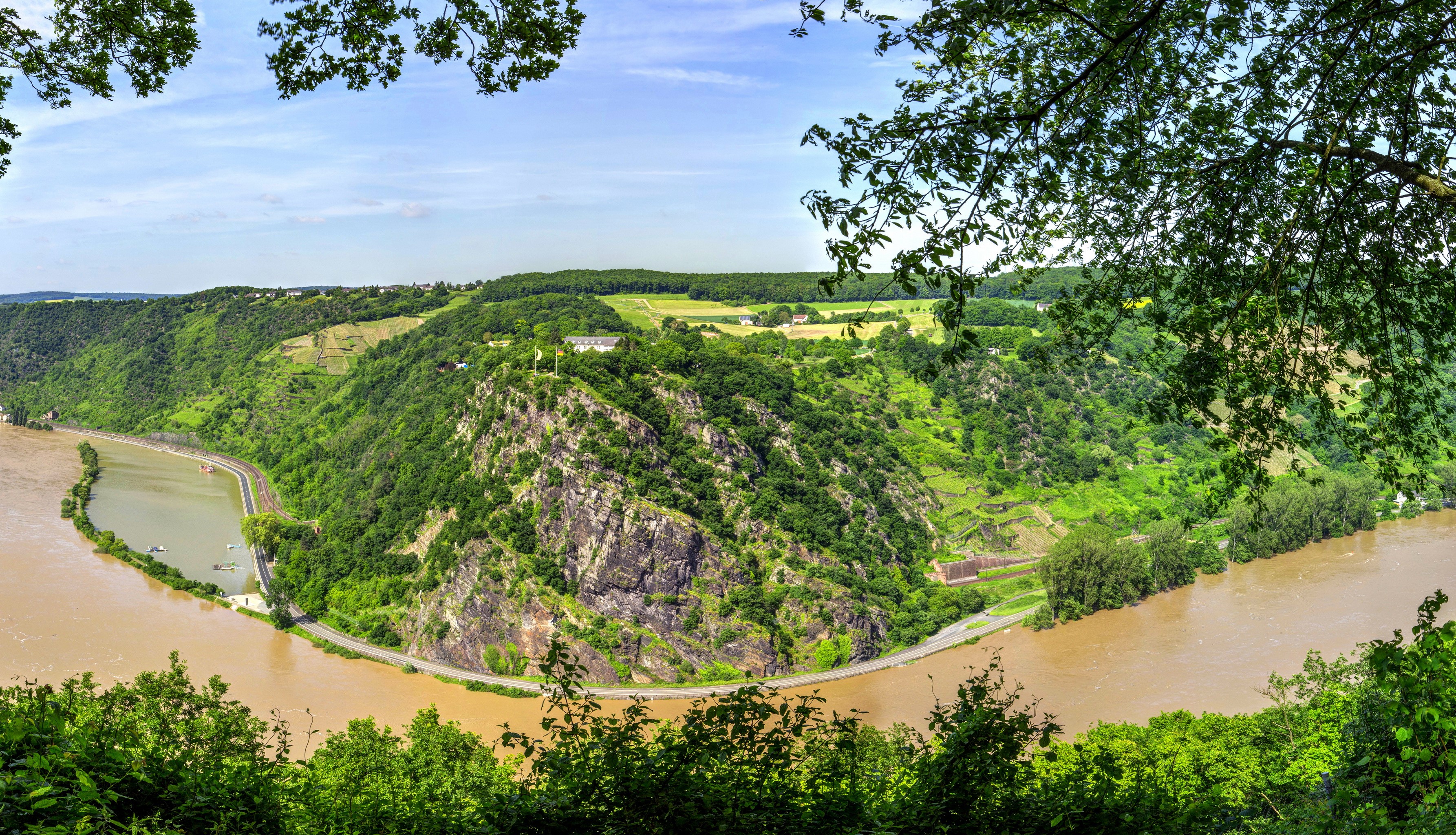 River bend with vineyards and forest in Oberwesel, Germany HD Wallpaper