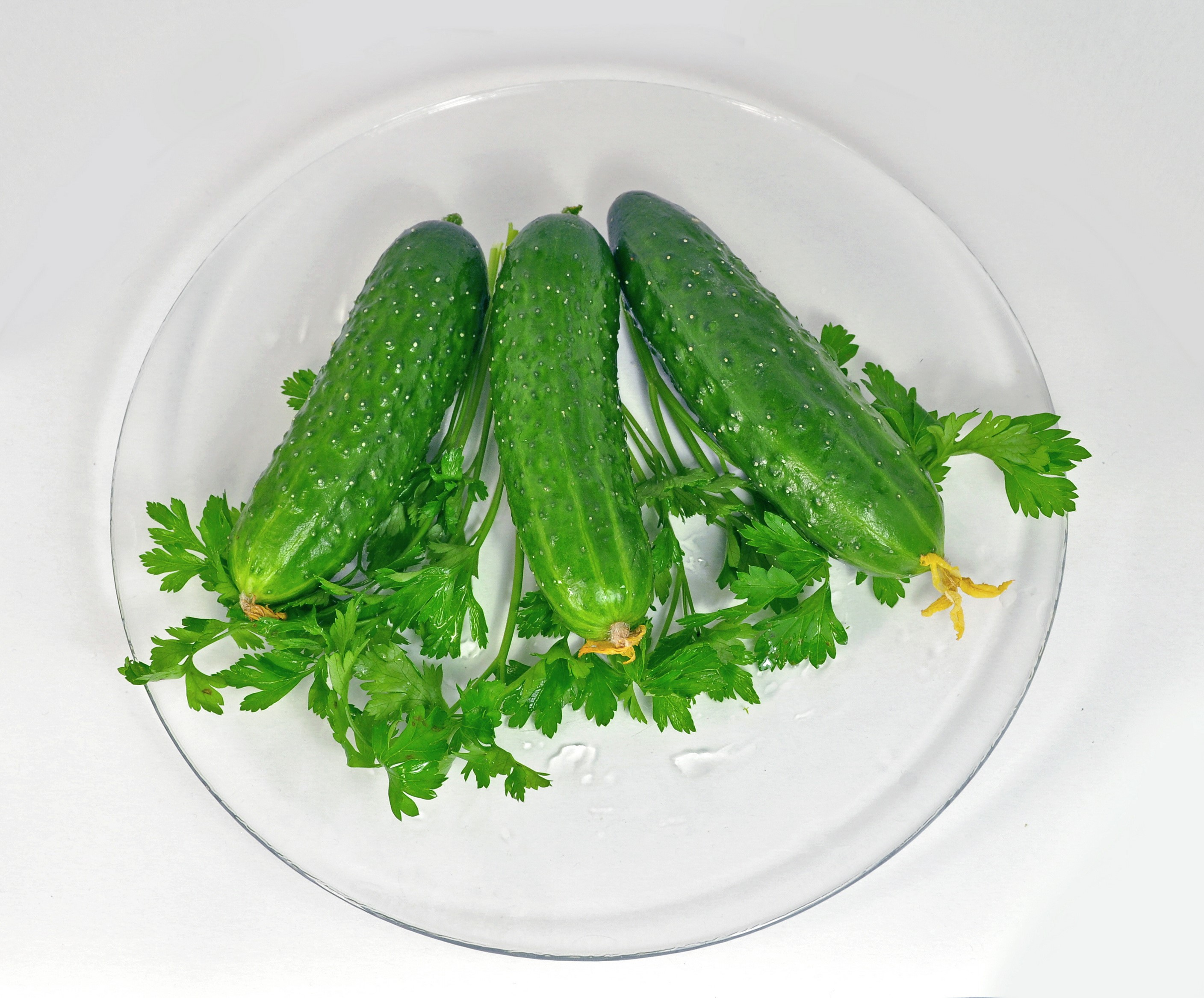 Three cucumbers with parsley on a plate HD Wallpaper