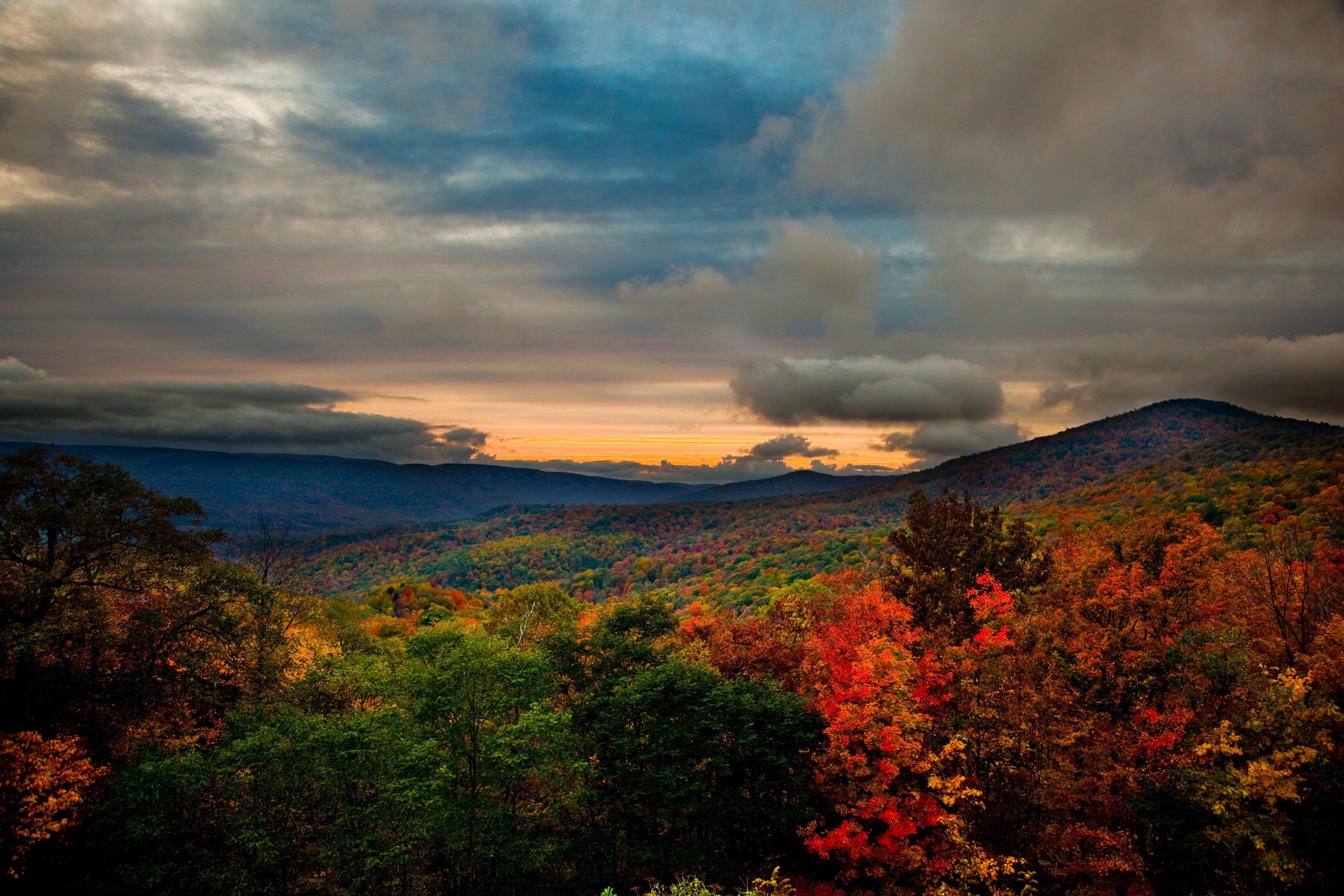 Autumn Forests Scenery in Virginia, USA HD Wallpaper