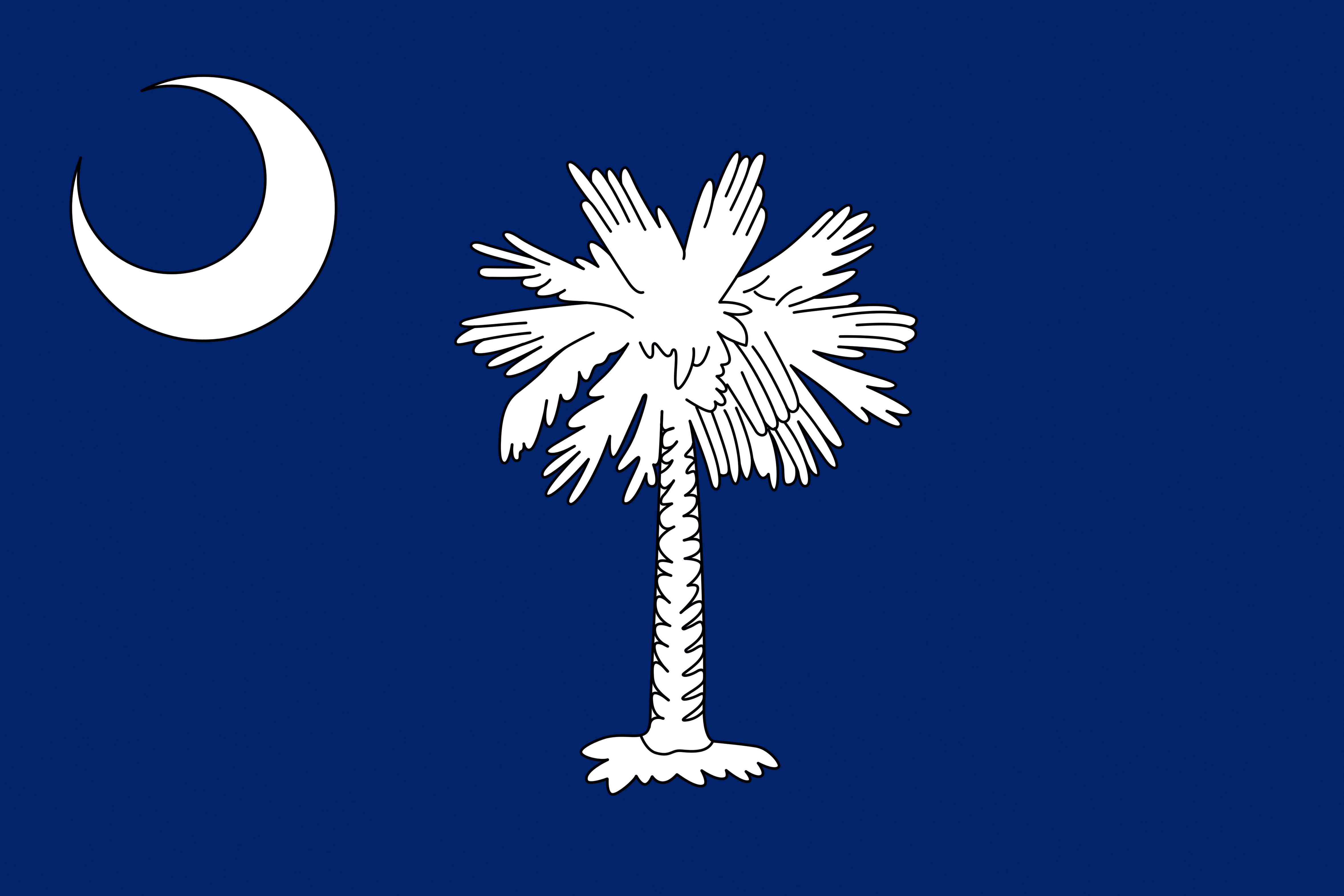 South Carolina Flag HD Wallpaper