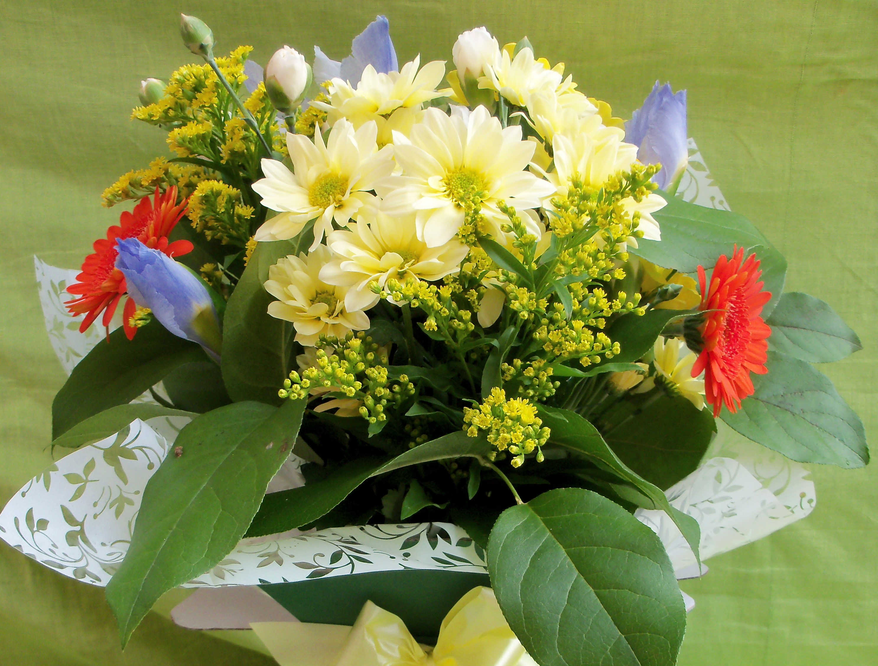 Bouquet of yellow daisies, red gerberas, and blue irises HD Wallpaper