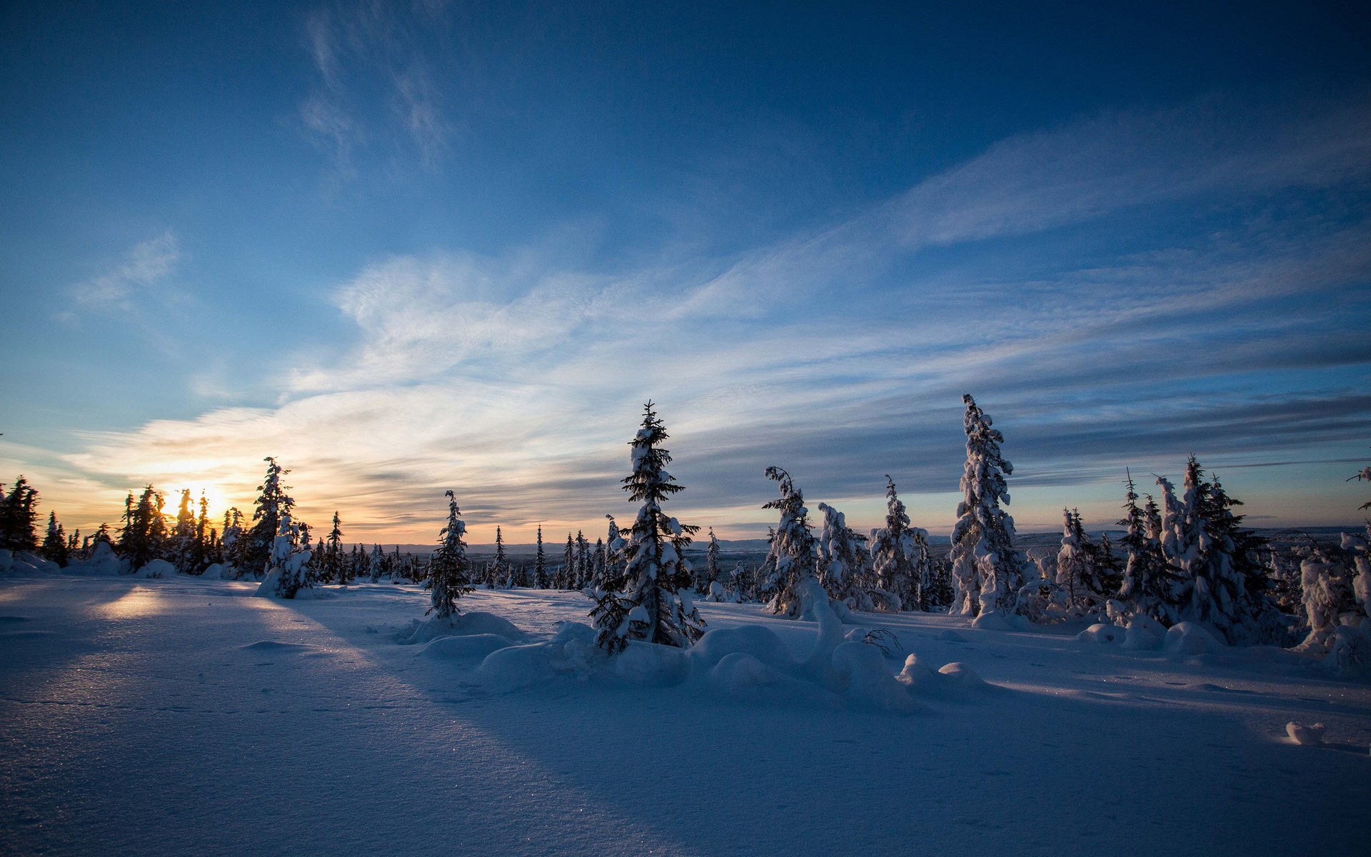 Snowy forest landscape at sunset with dramatic sky HD Wallpaper