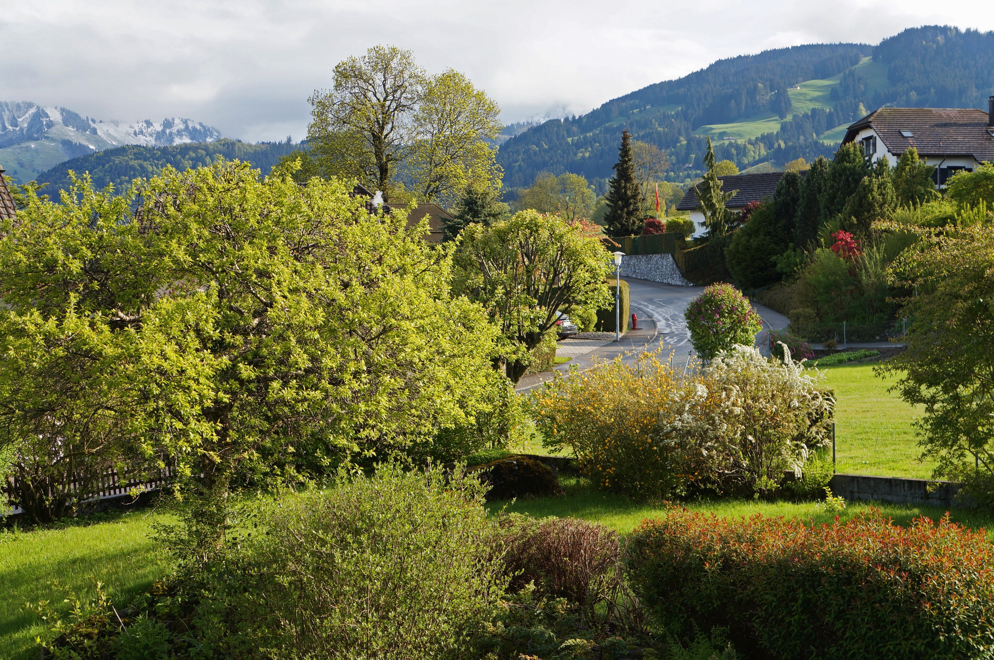 Gruyere, Switzerland with snow-capped mountains and trees HD Wallpaper