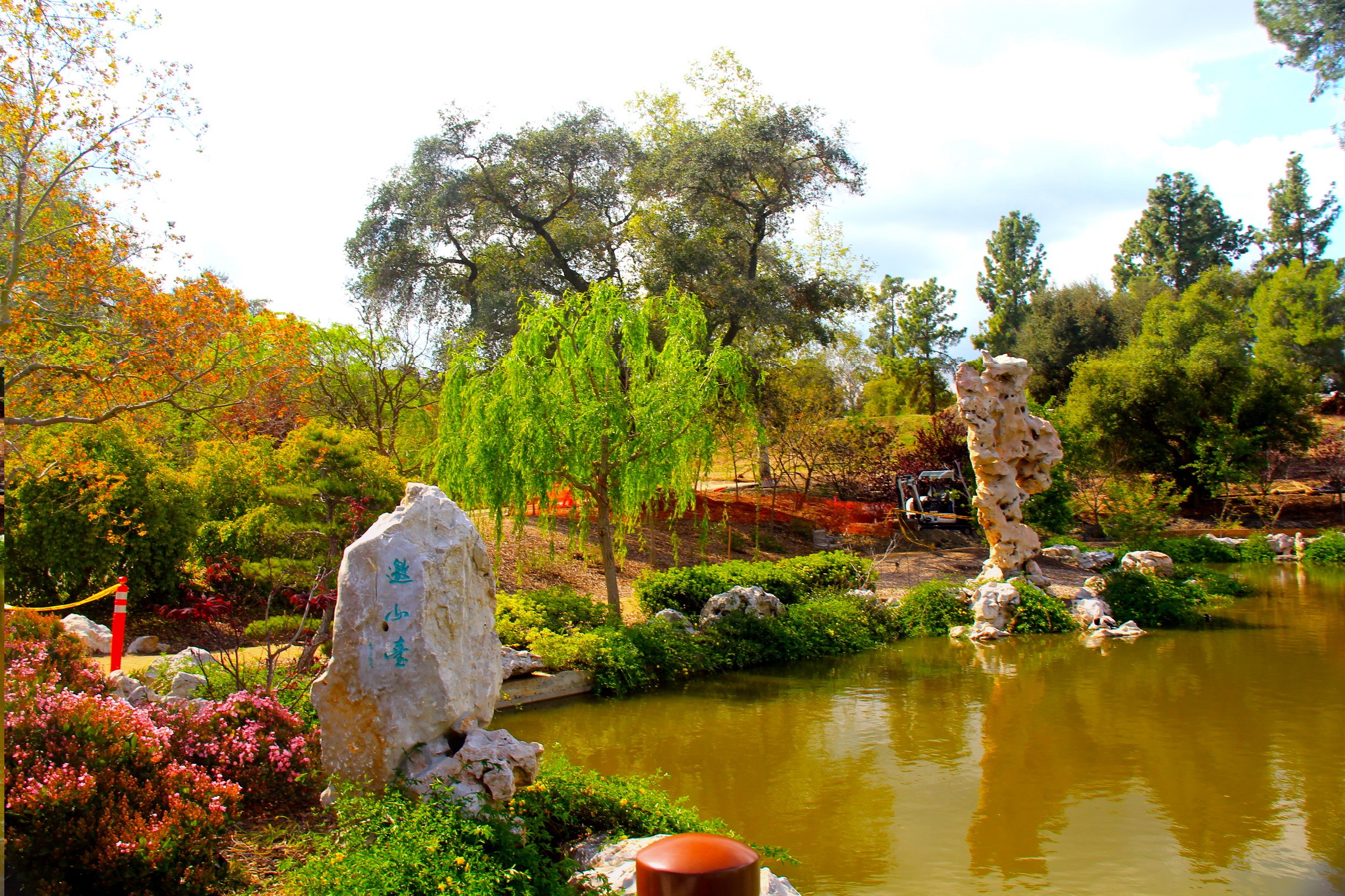 Chinese Garden Pond with Rocks and Trees in San Marino, California HD Wallpaper