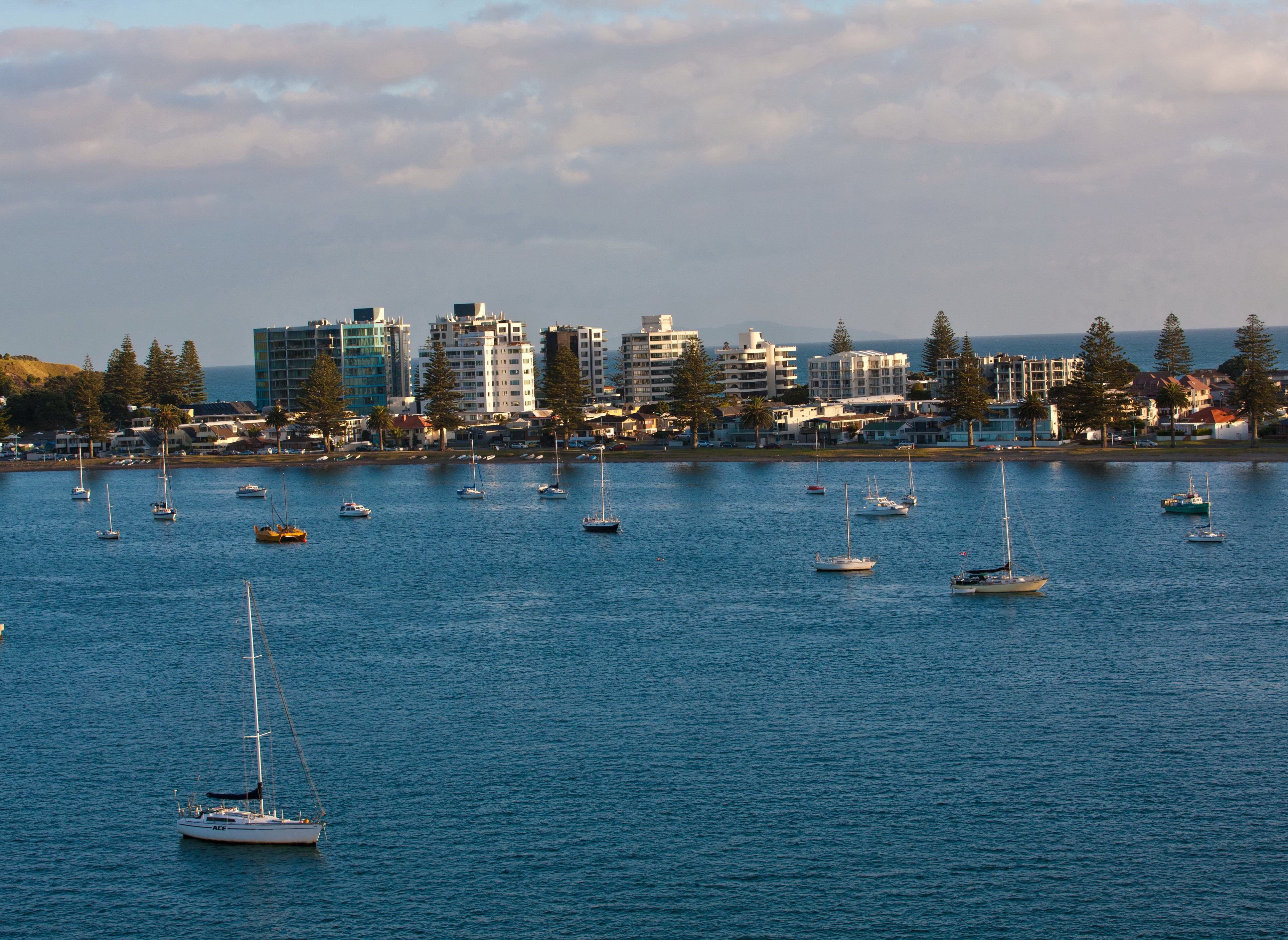 Boats in Tauranga Harbour, New Zealand HD Wallpaper