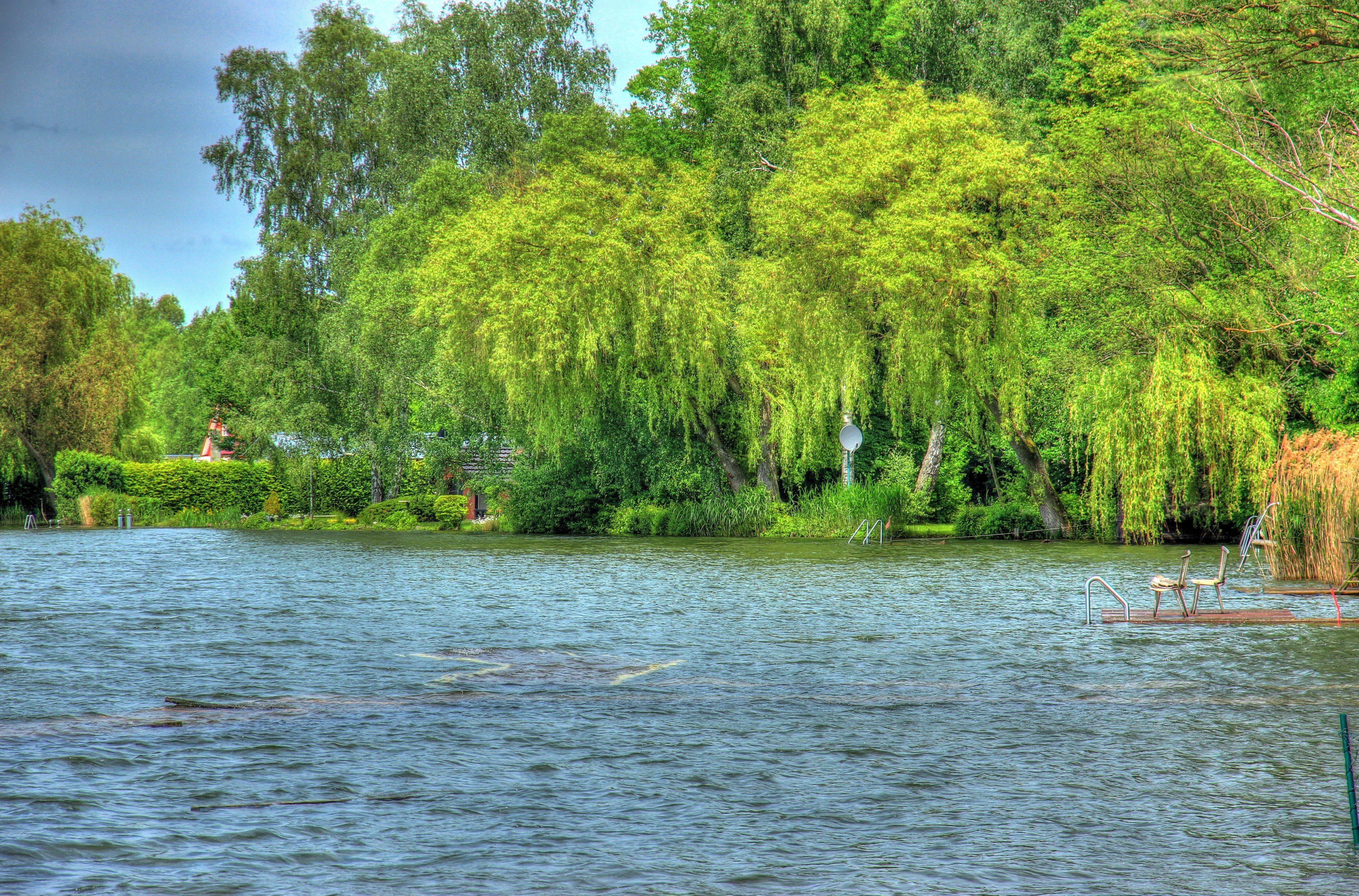 Flooded riverbank with trees and a small dock in Hungen, Germany HD Wallpaper