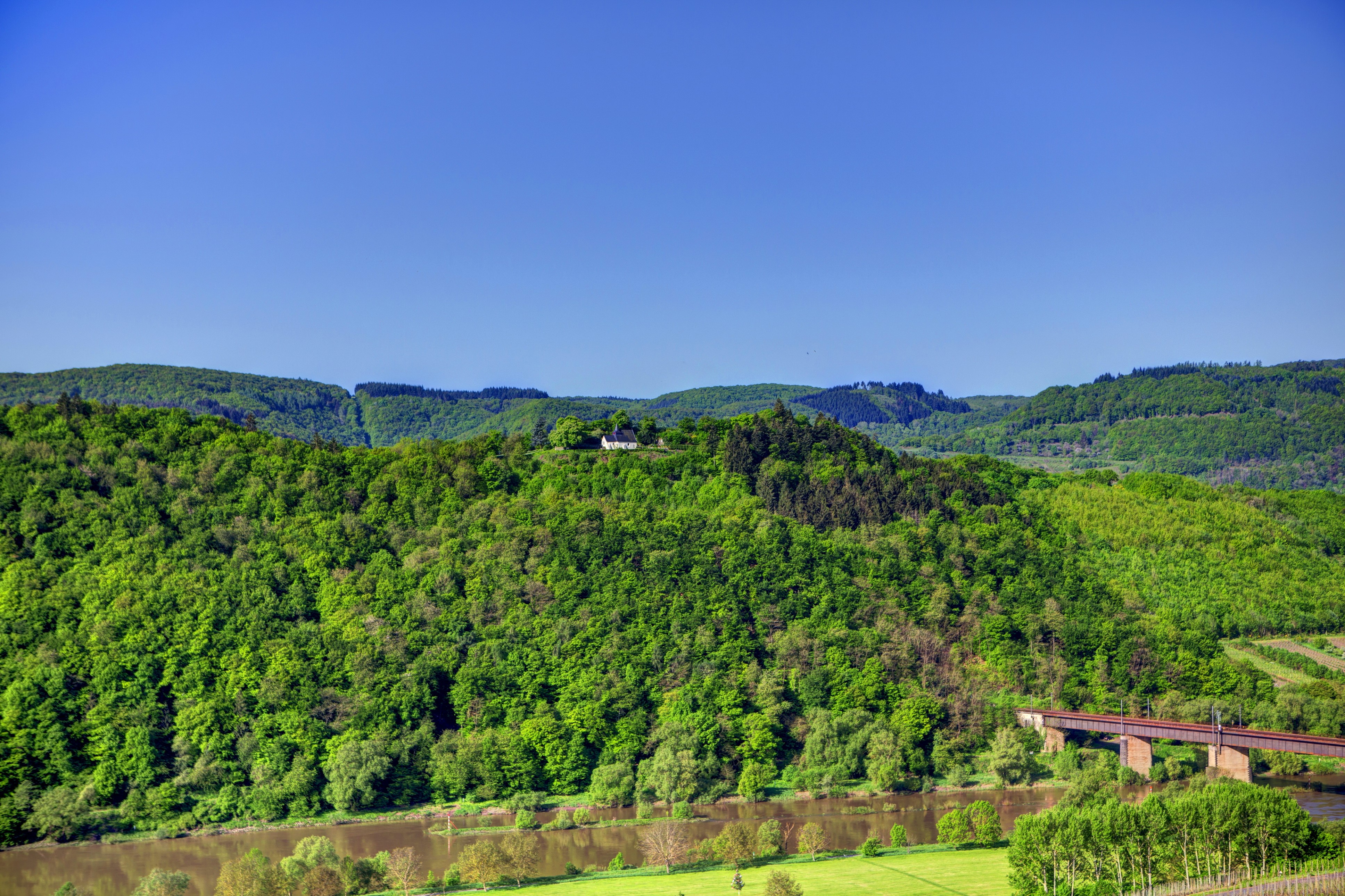 4K Scenery of Germany Forests near Ediger-Eller HD Wallpaper