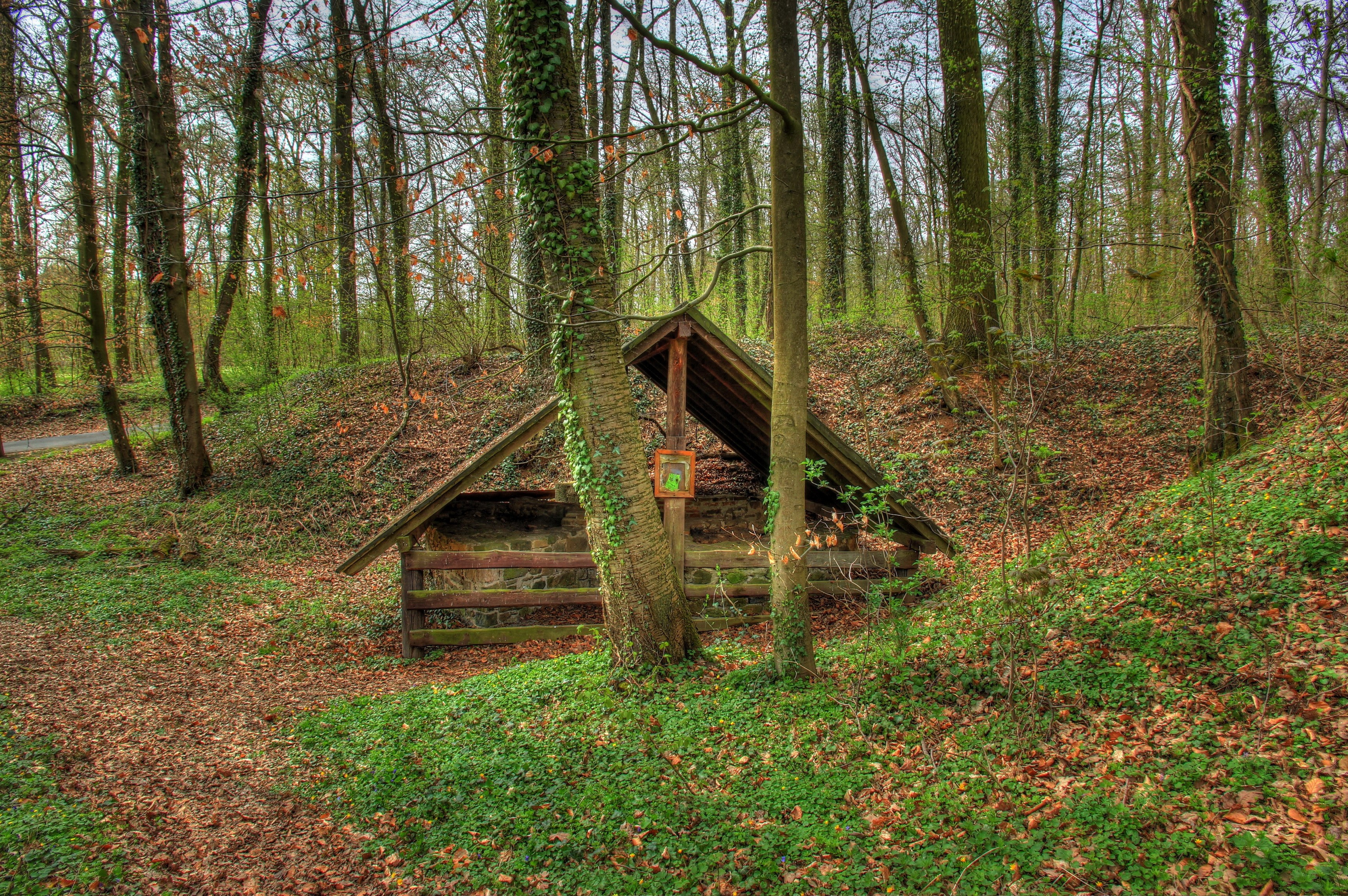 Forest with a small wooden structure and a picture HD Wallpaper