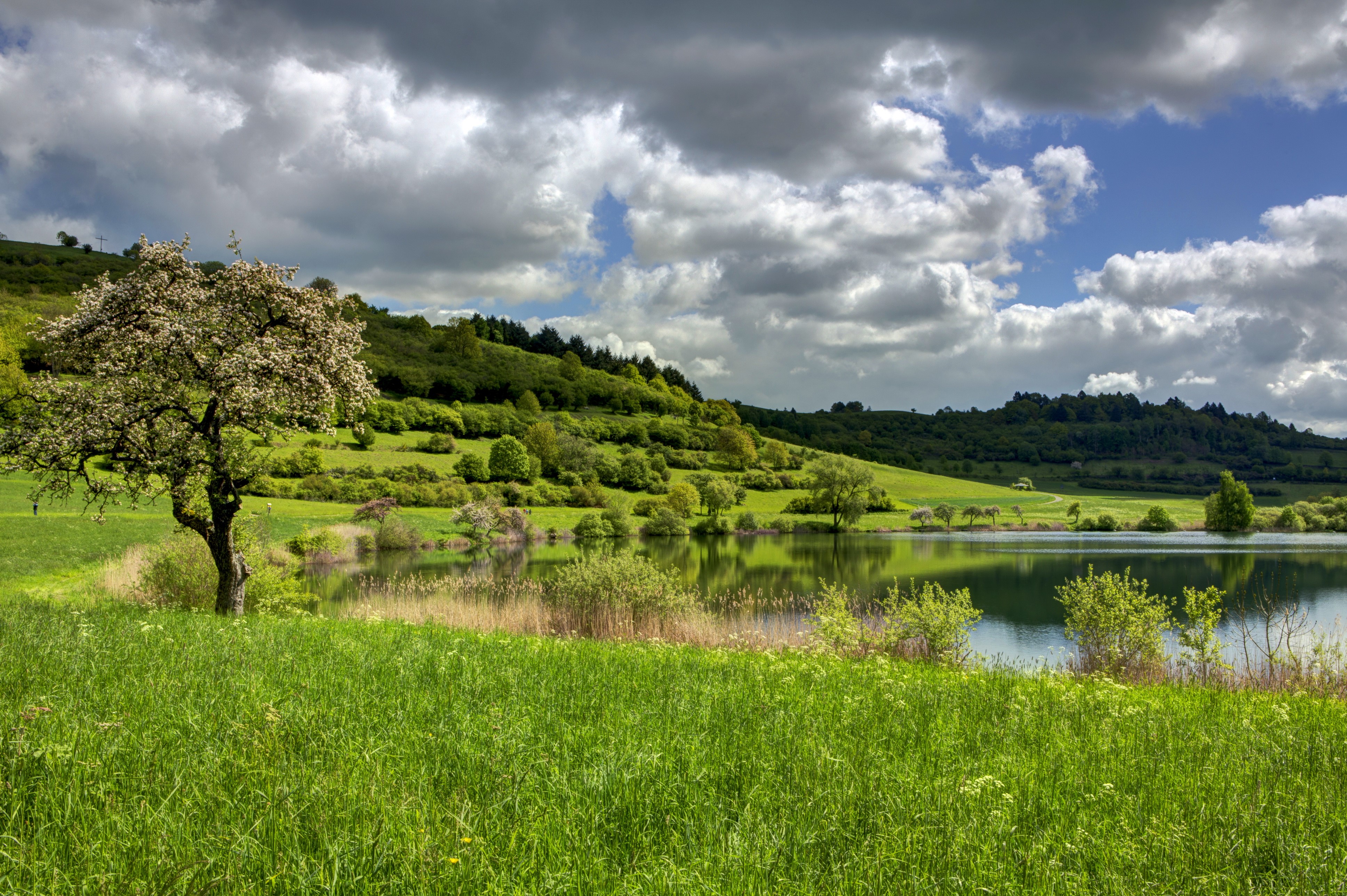 4K Scenery of Grass and Clouds in Ellscheid, Germany HD Wallpaper