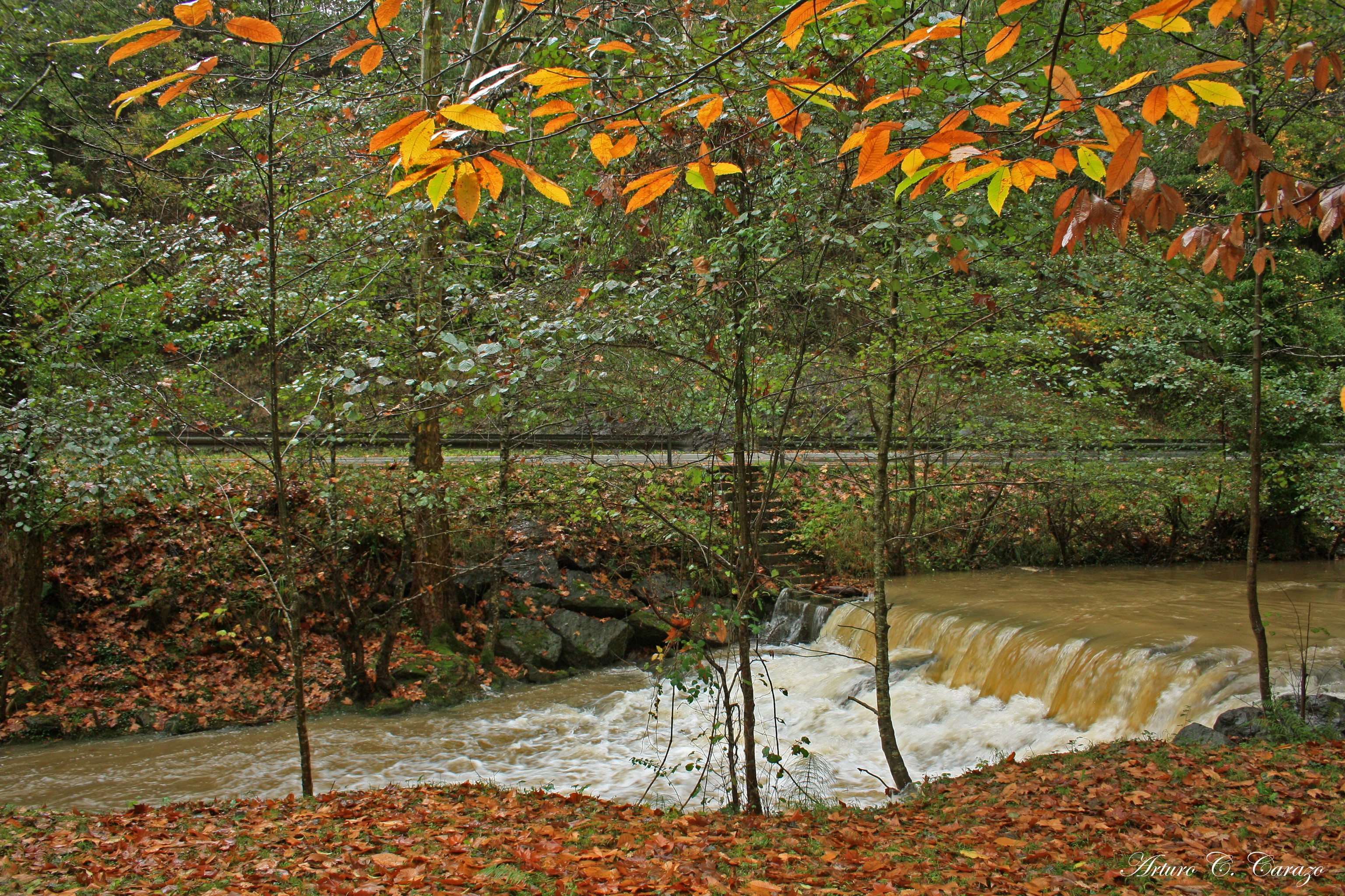 Autumn foliage by a river in Enkarterri, Spain HD Wallpaper