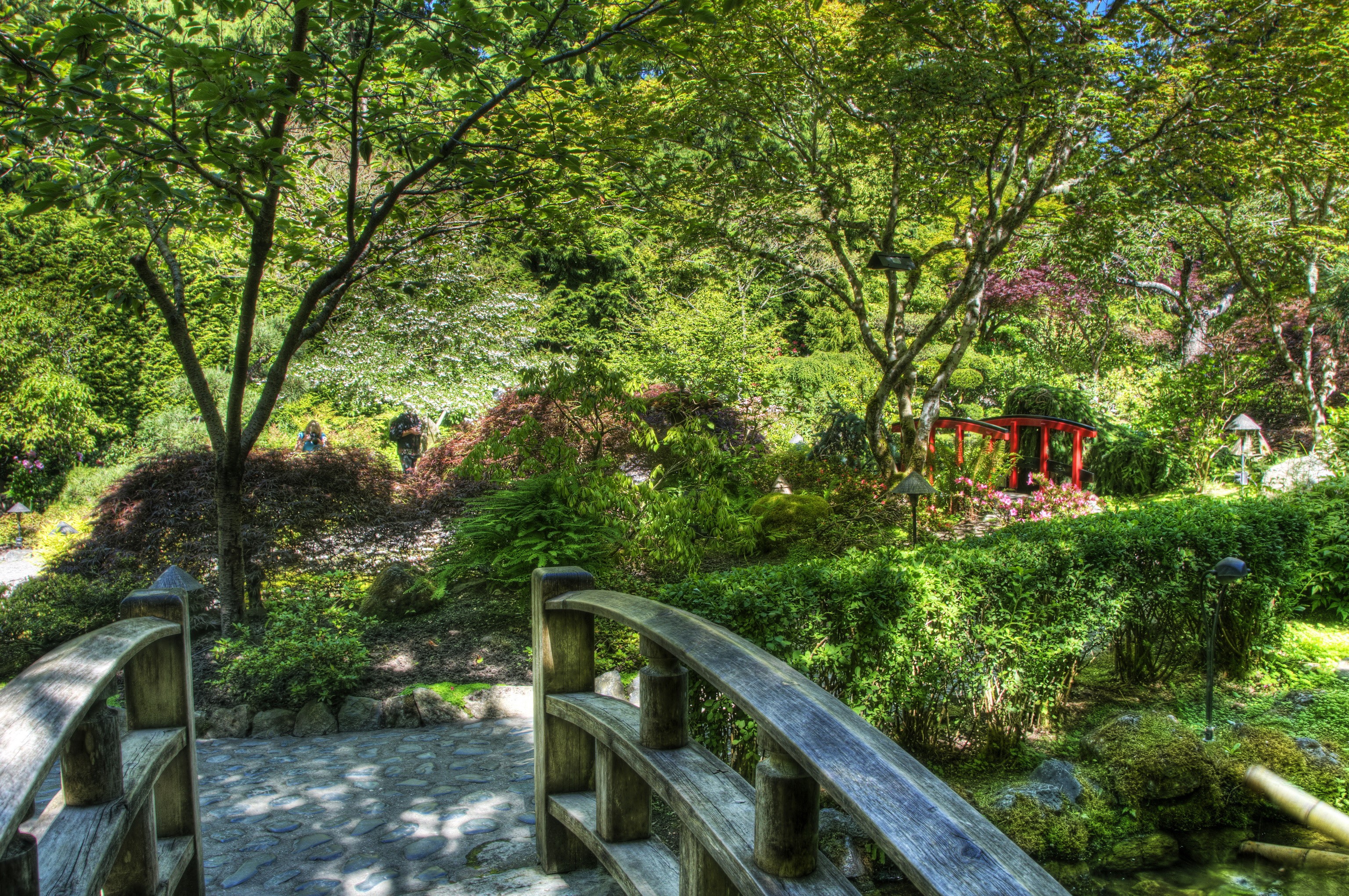 Japanese Garden with Red Bridge and Wooden Bridge HD Wallpaper
