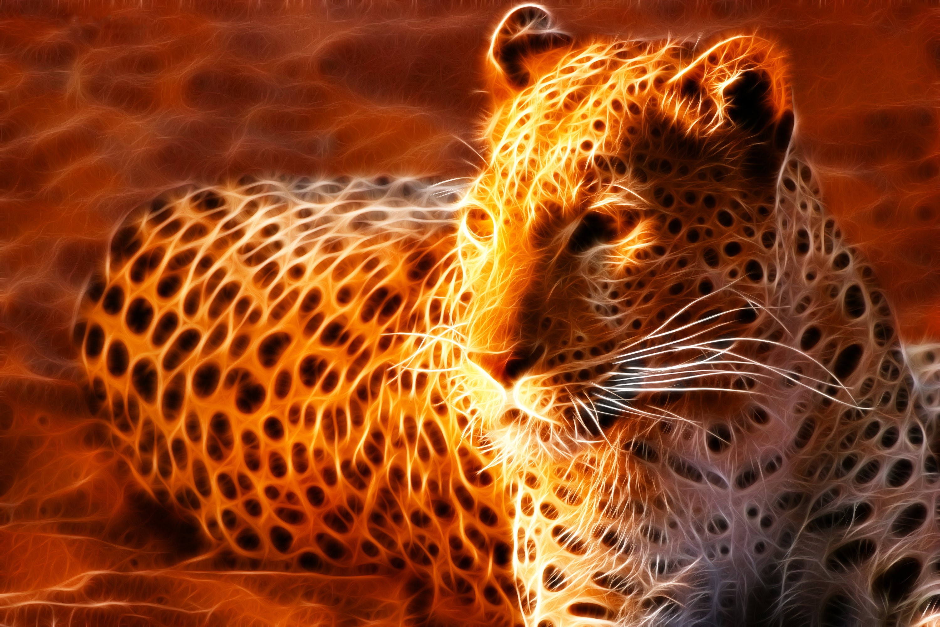 Fractal Leopard Portrait HD Wallpaper