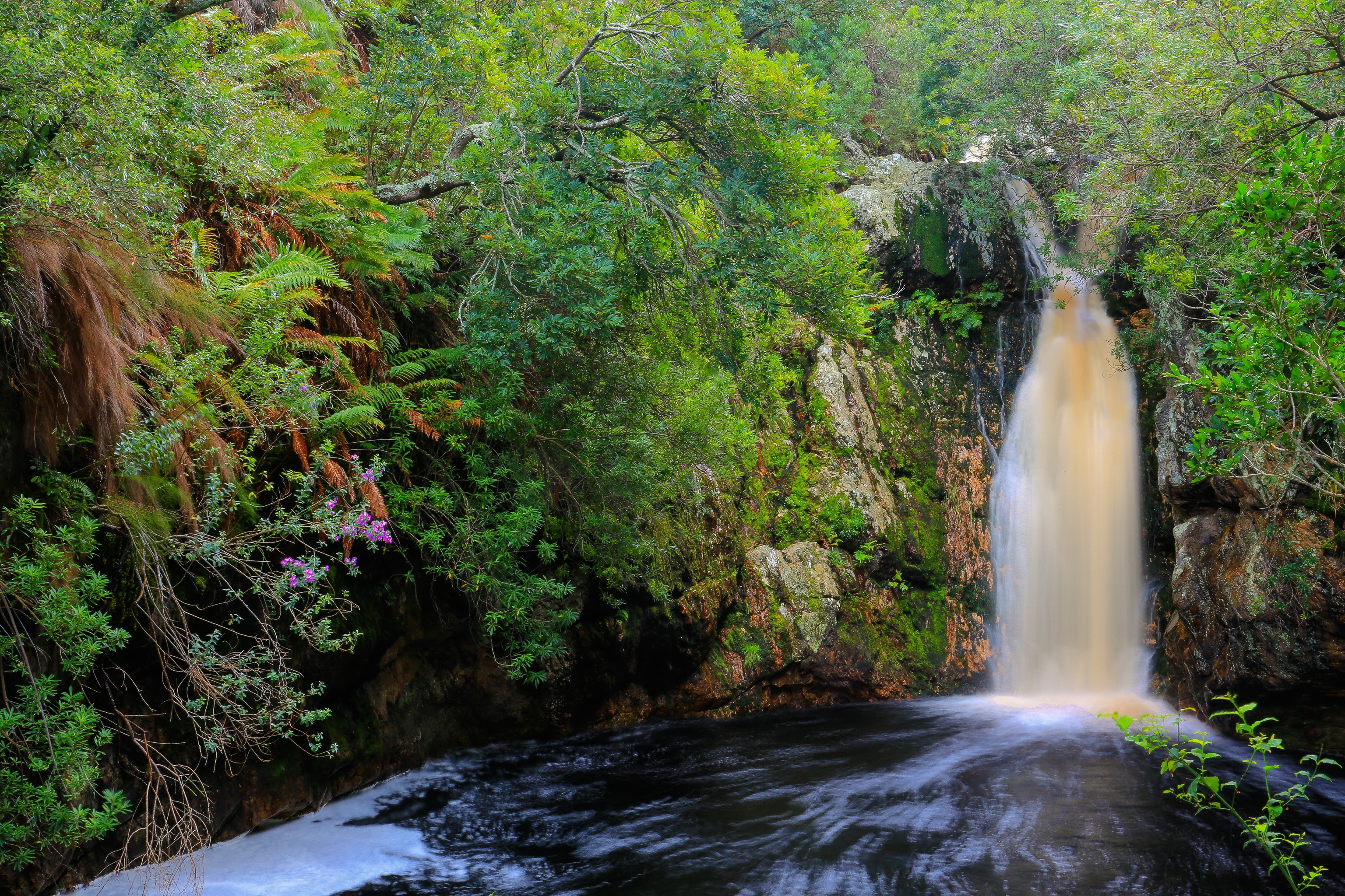 Waterfall in Overberg, South Africa HD Wallpaper