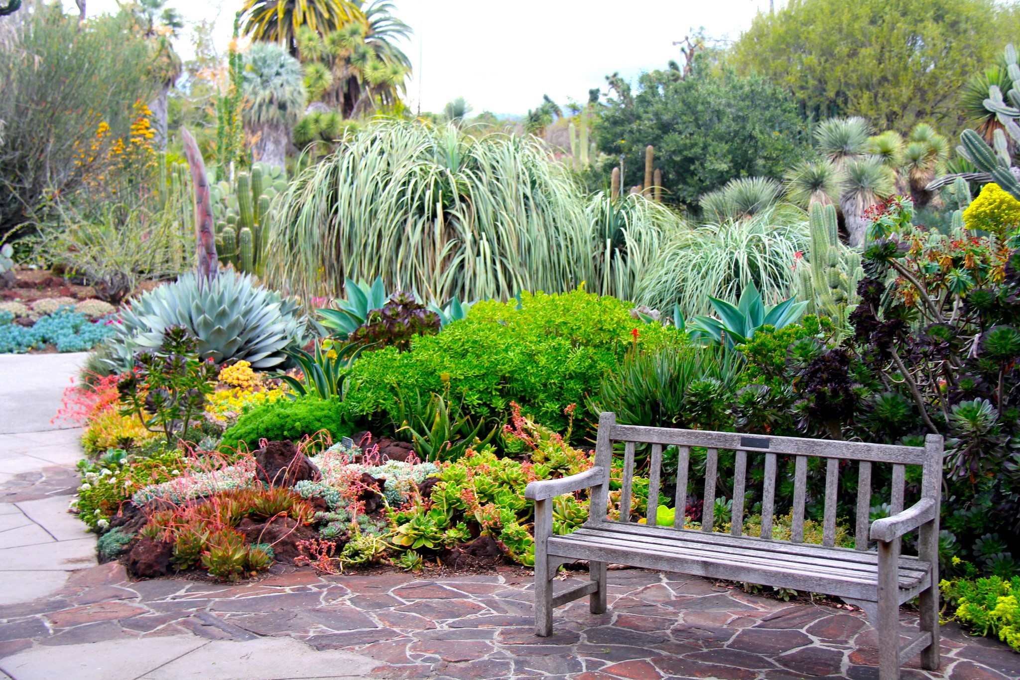 Botanical Garden in San Marino, California with a Bench HD Wallpaper