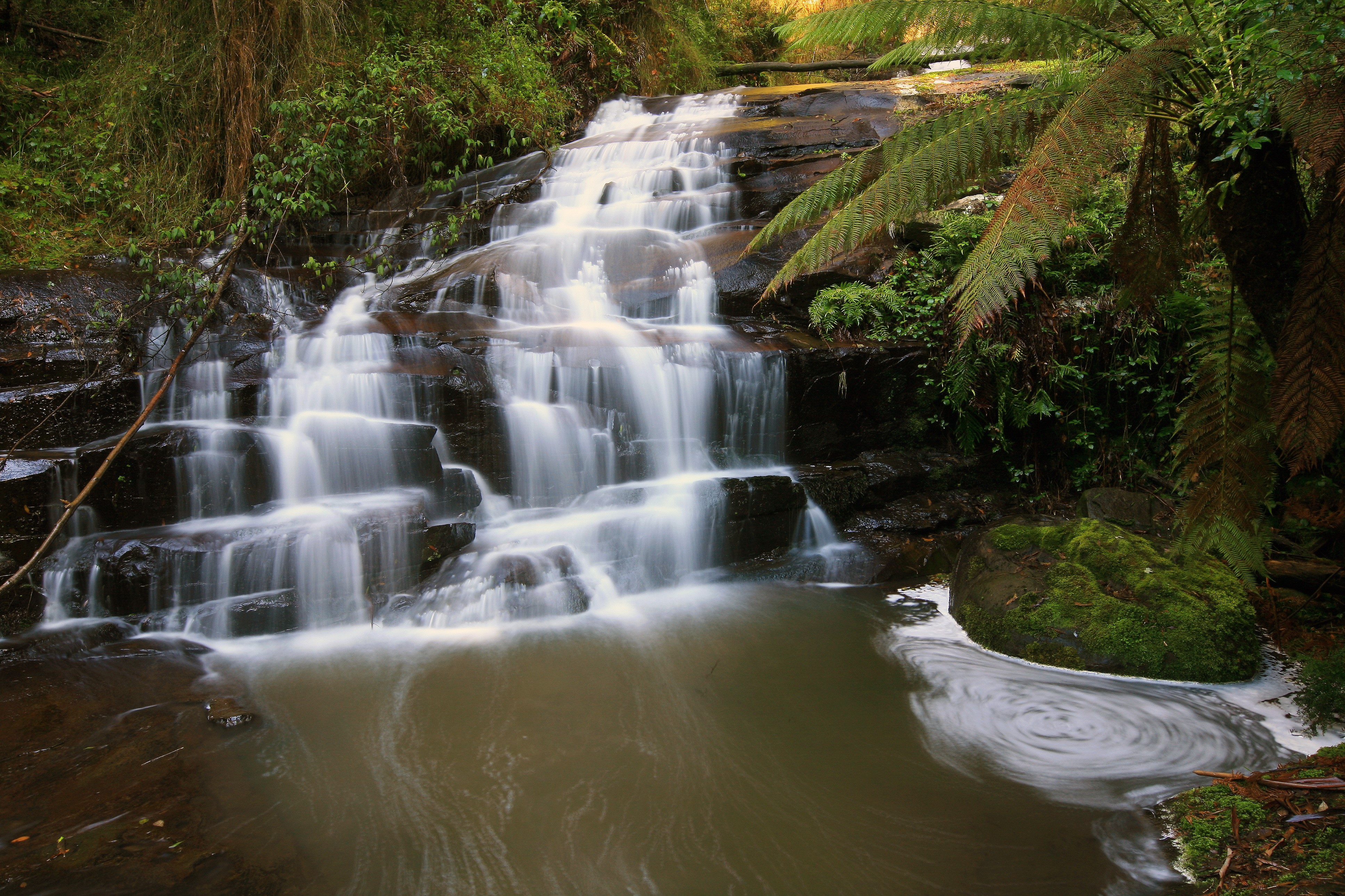 Waterfall in Great Otway National Park, Australia HD Wallpaper