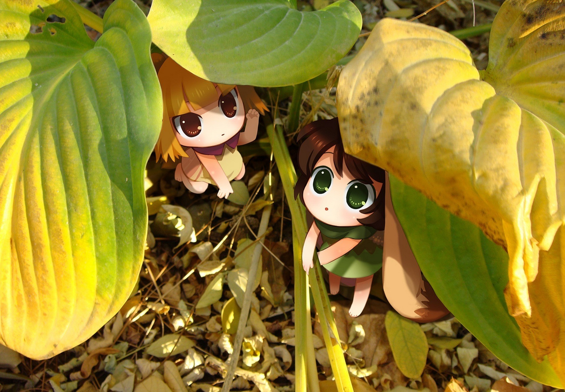 Two anime girls hiding behind large leaves HD Wallpaper