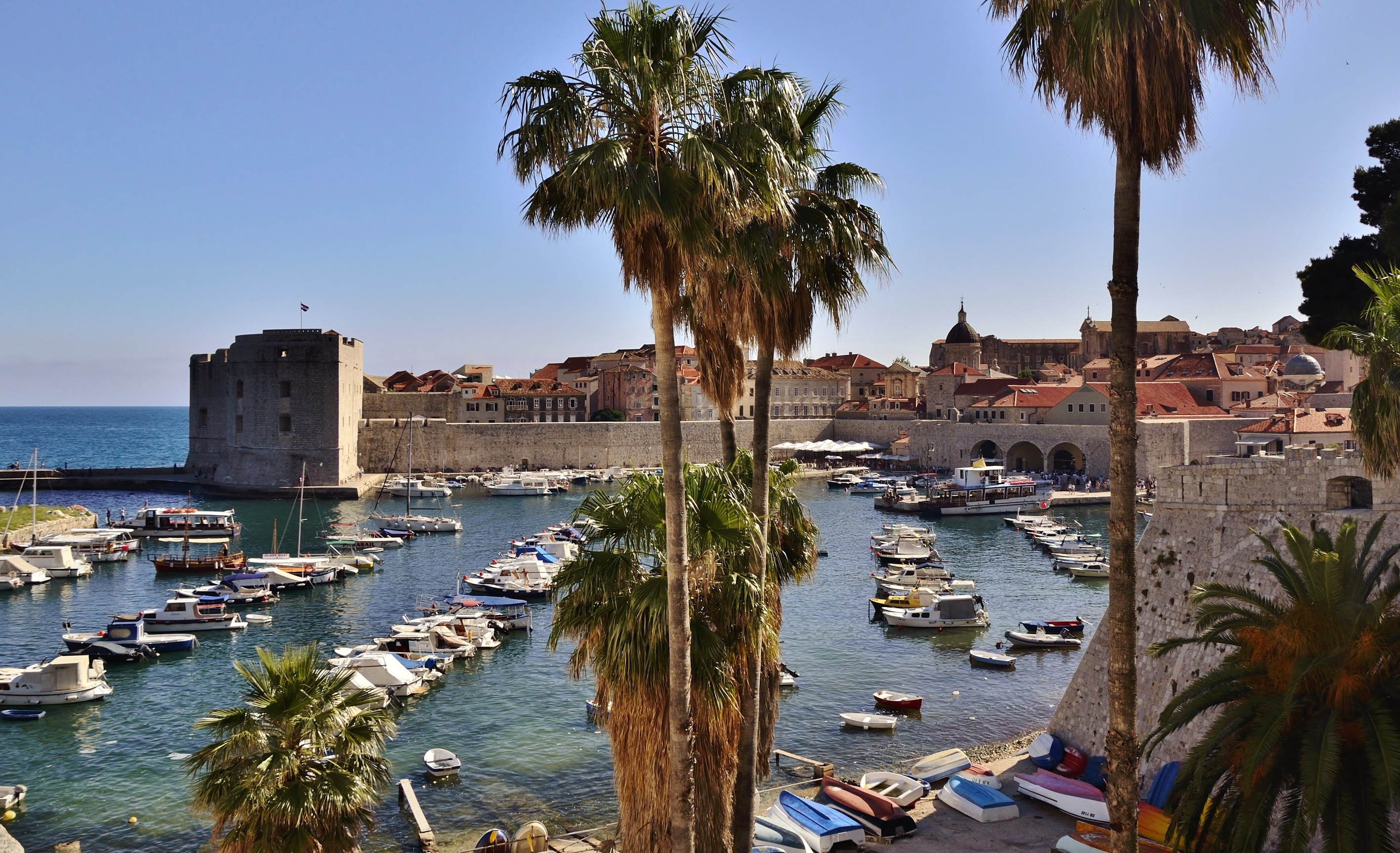 Dubrovnik harbor with Fort Revelin and palm trees HD Wallpaper