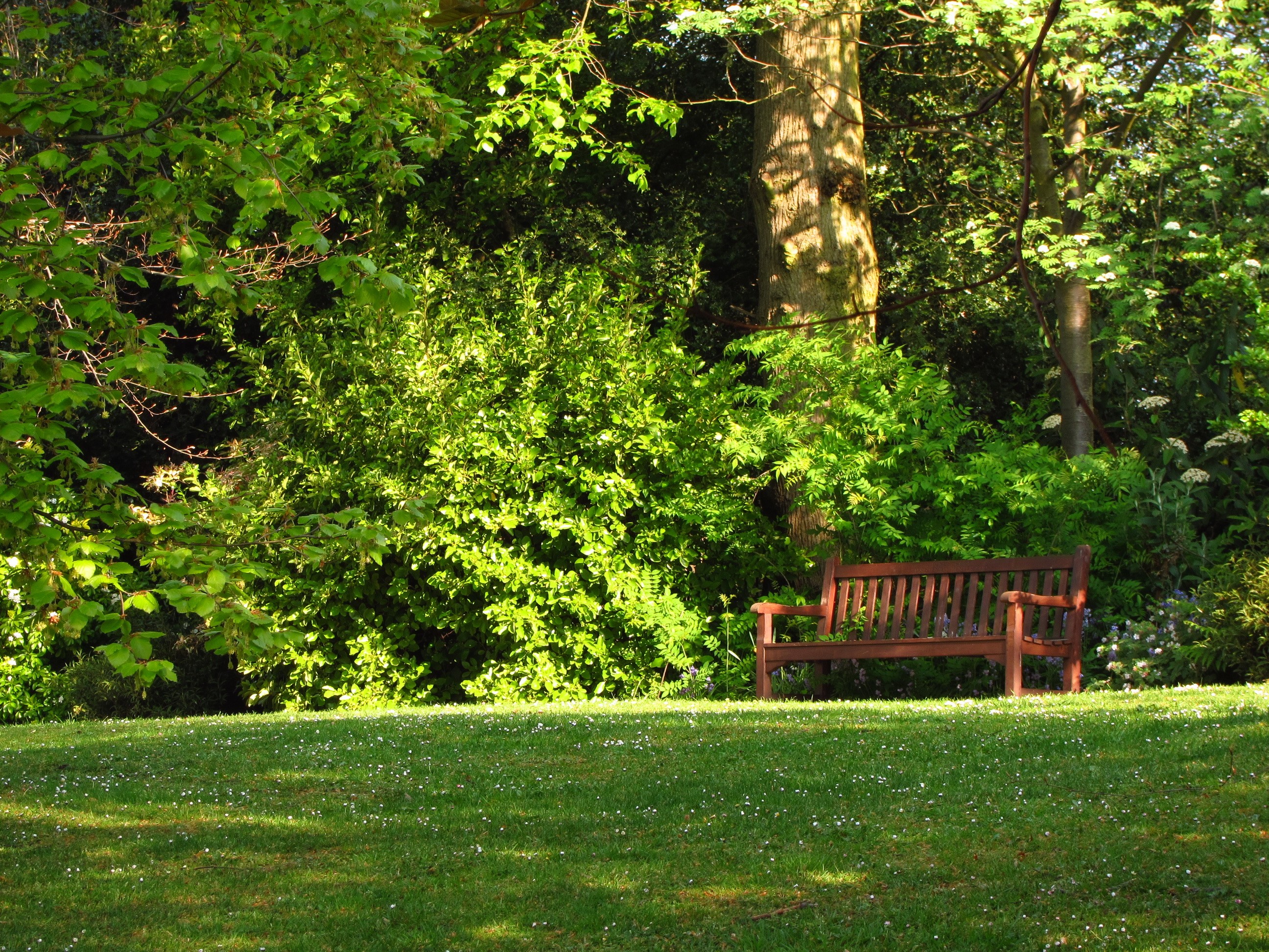 Park bench in a garden with trees and grass HD Wallpaper
