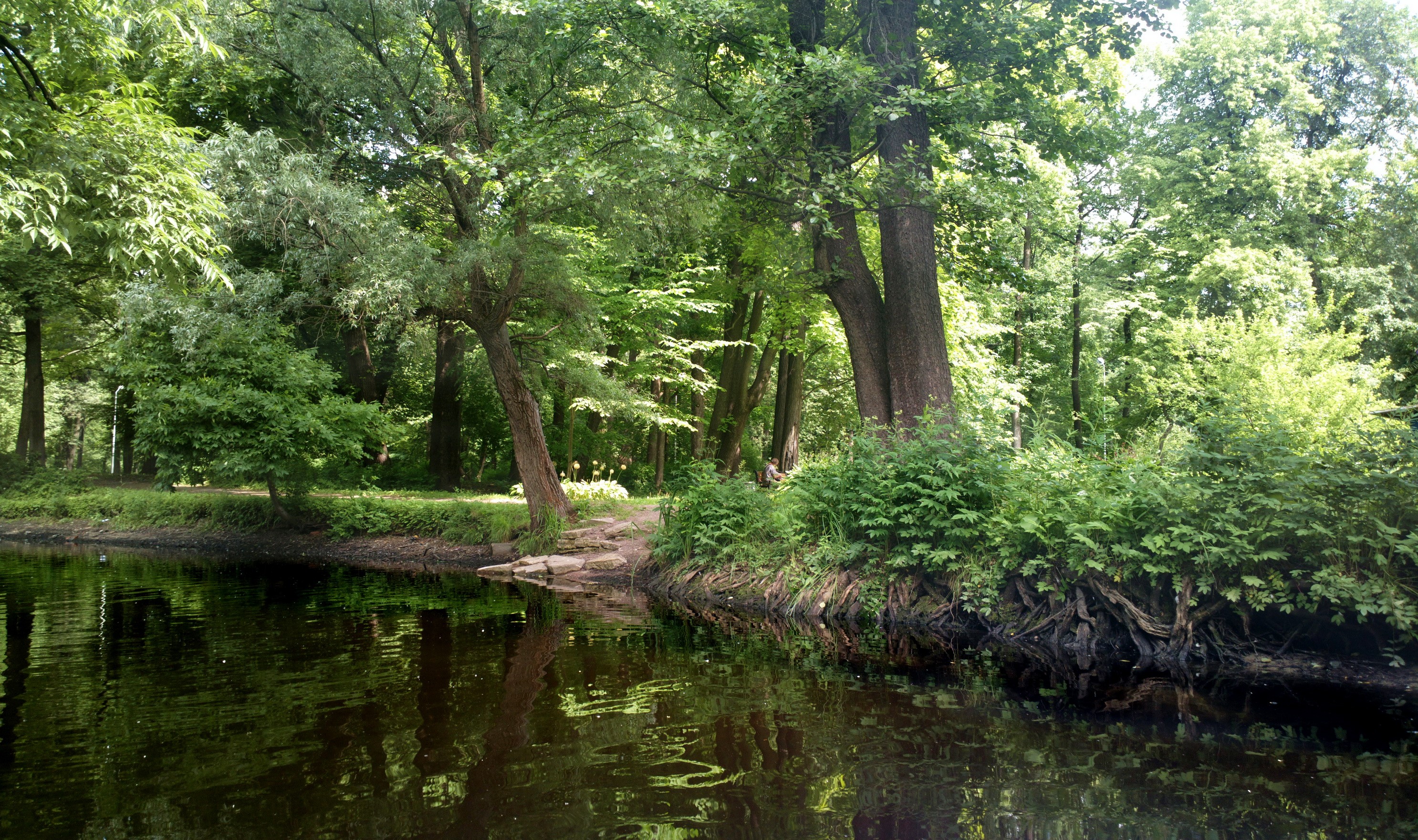 Park in St. Petersburg, Russia HD Wallpaper